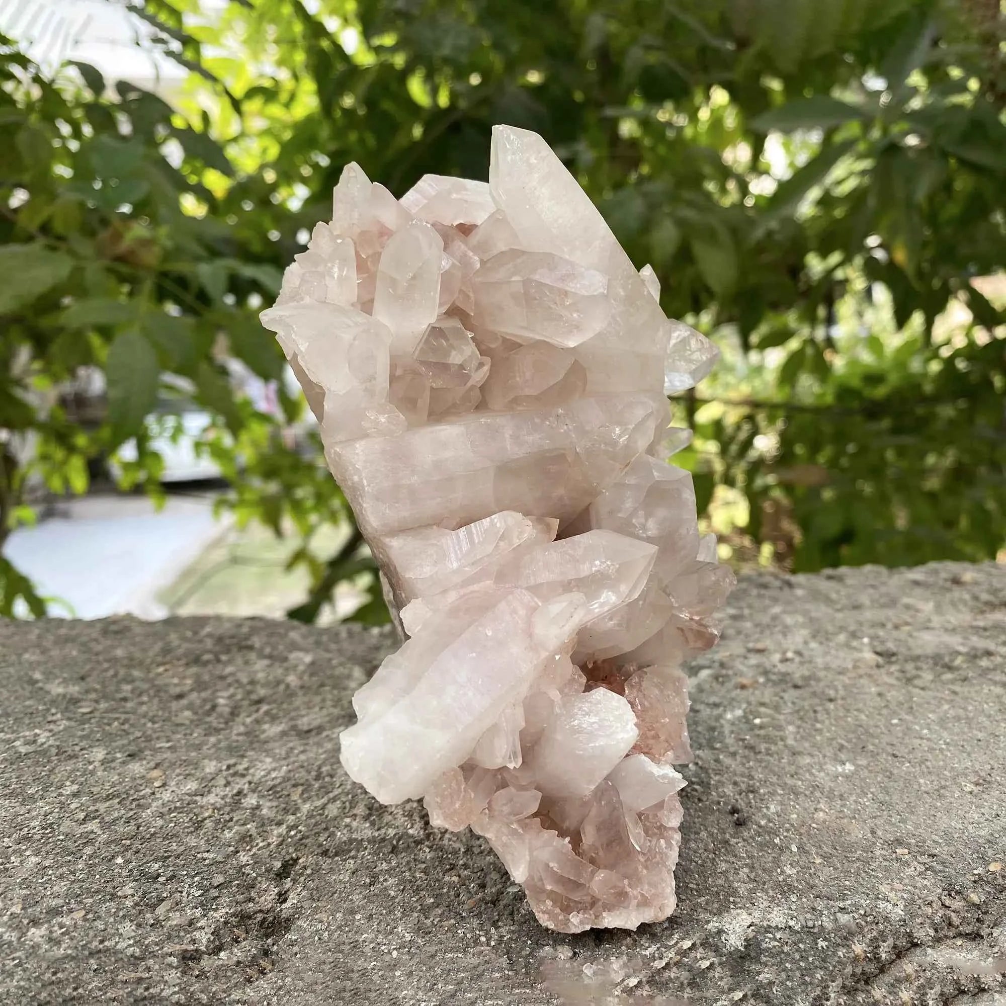 Natural Pink Himalayan Samadhi Quartz Crystal Cluster Healing Mineral Display