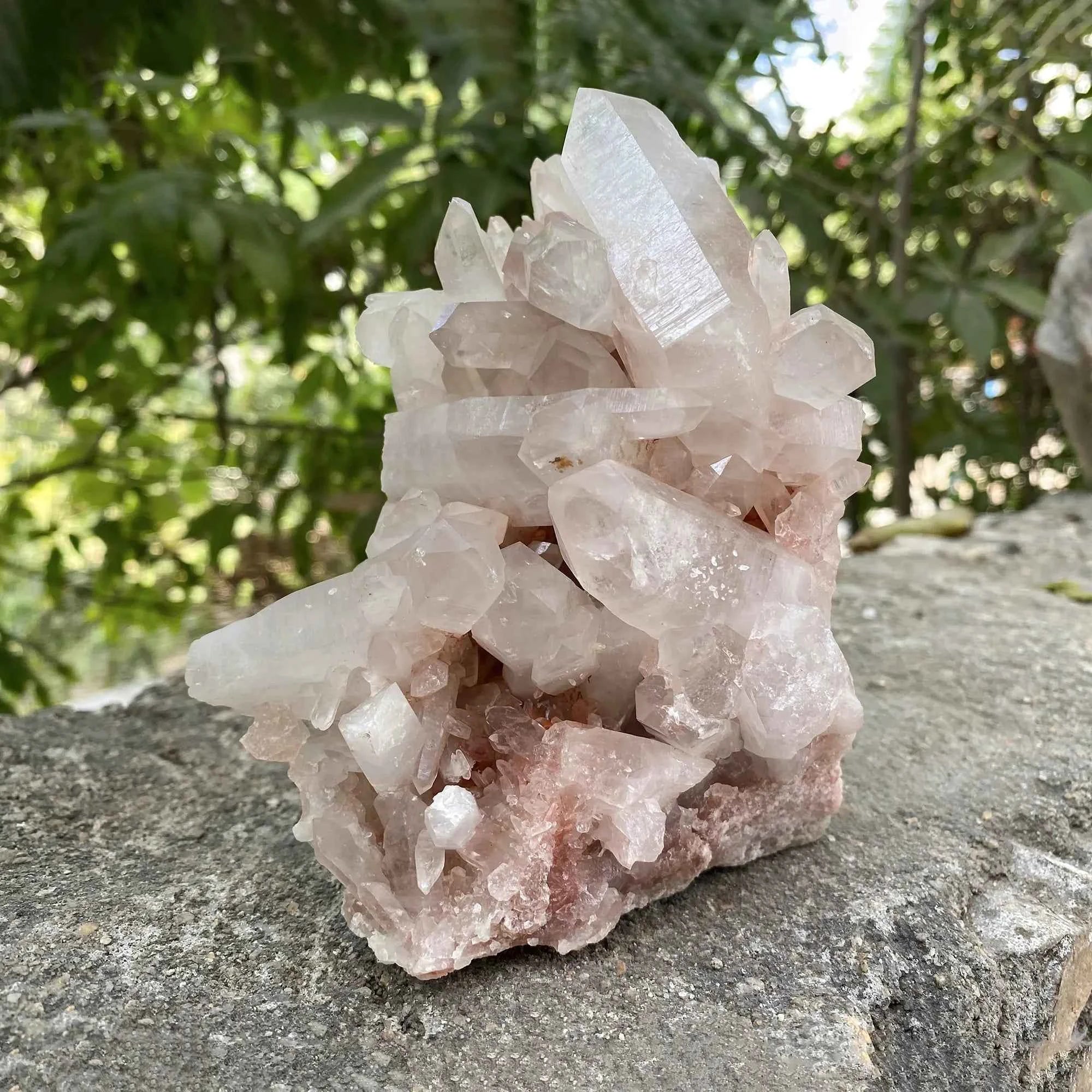 Natural Pink Himalayan Samadhi Quartz Crystal Cluster Healing Mineral Display