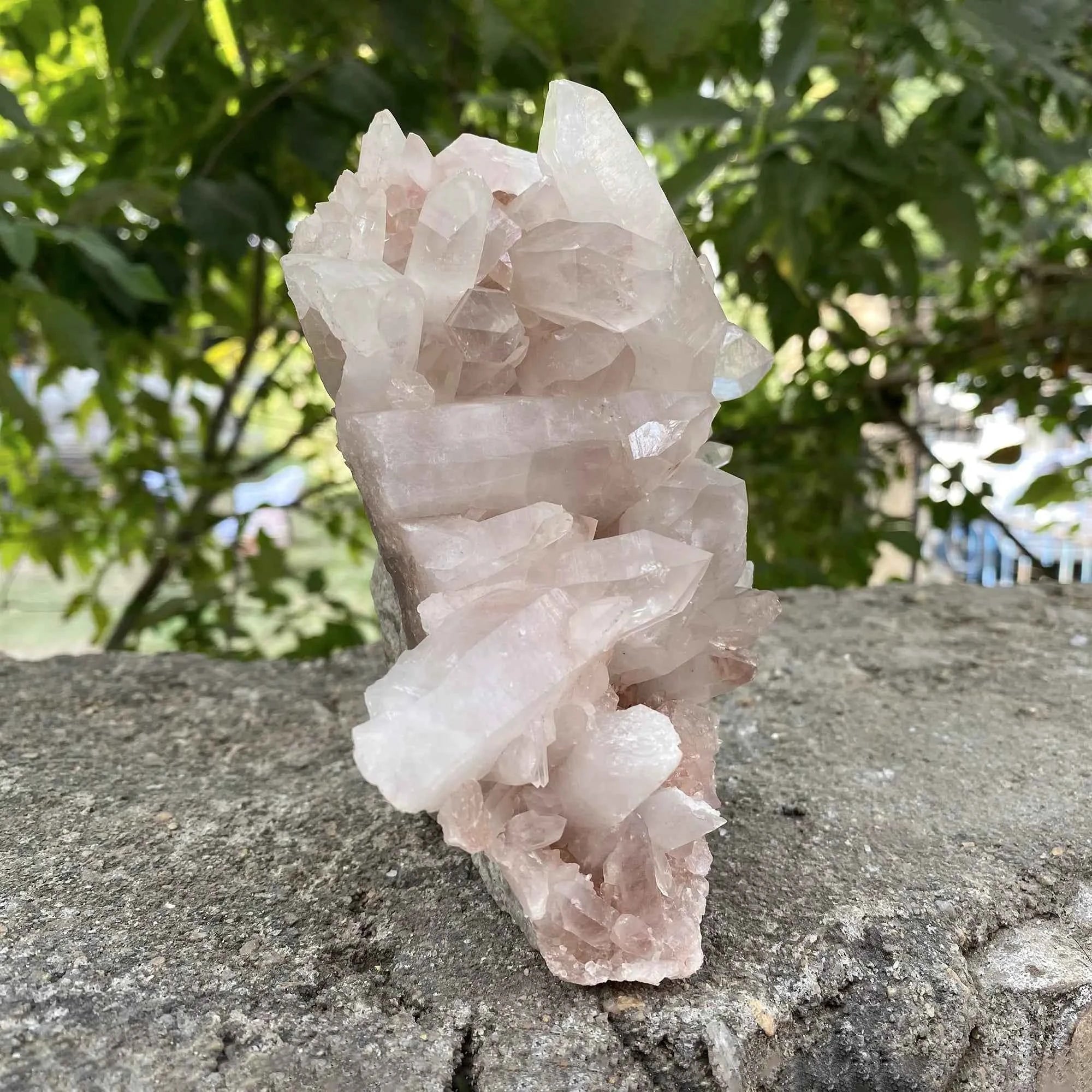 Natural Pink Himalayan Samadhi Quartz Crystal Cluster Healing Mineral Display