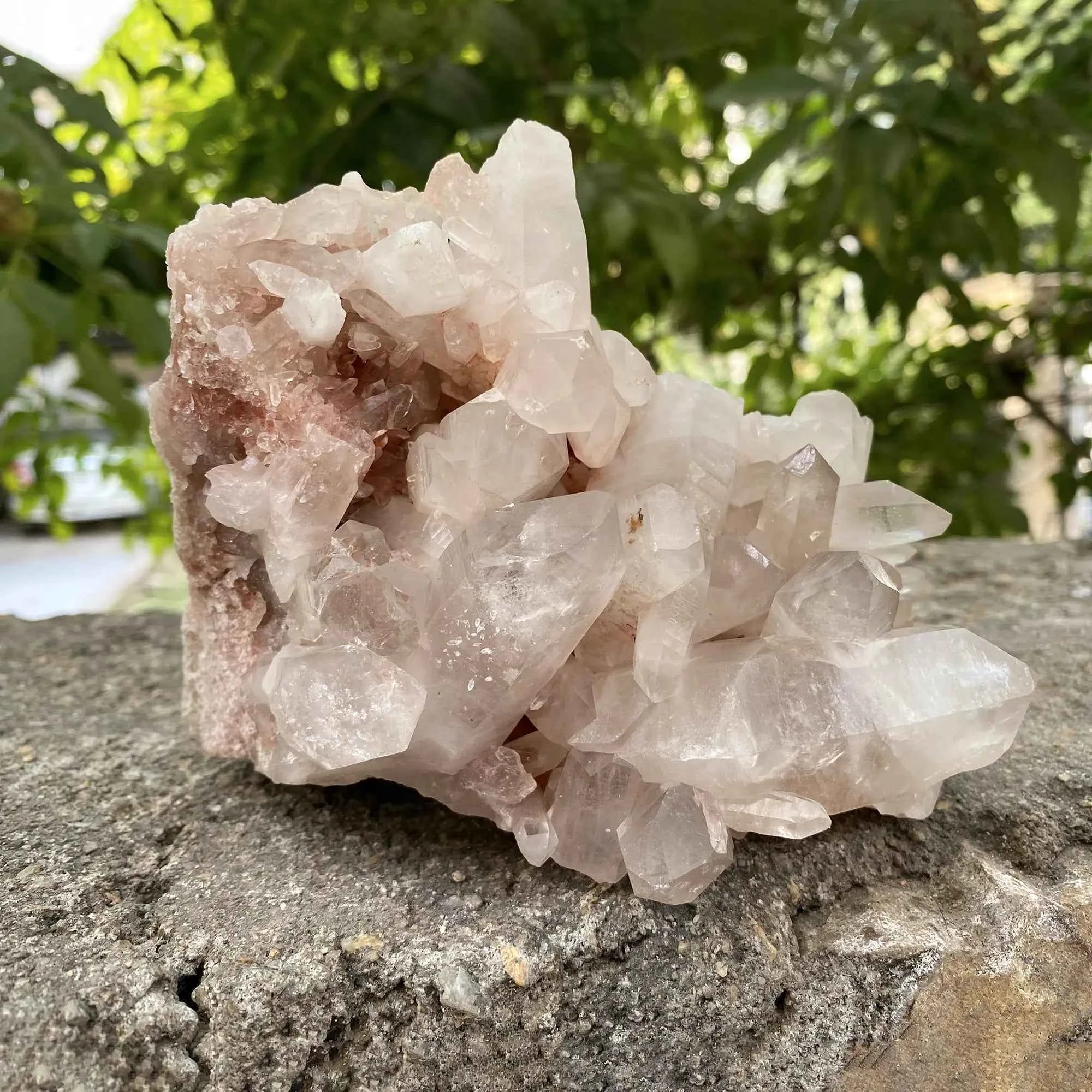 Natural Pink Himalayan Samadhi Quartz Crystal Cluster Healing Mineral Display