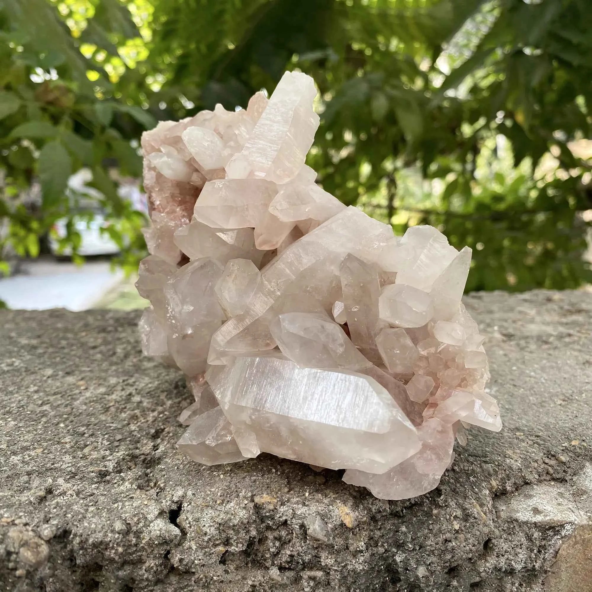 Natural Pink Himalayan Samadhi Quartz Crystal Cluster Healing Mineral Display