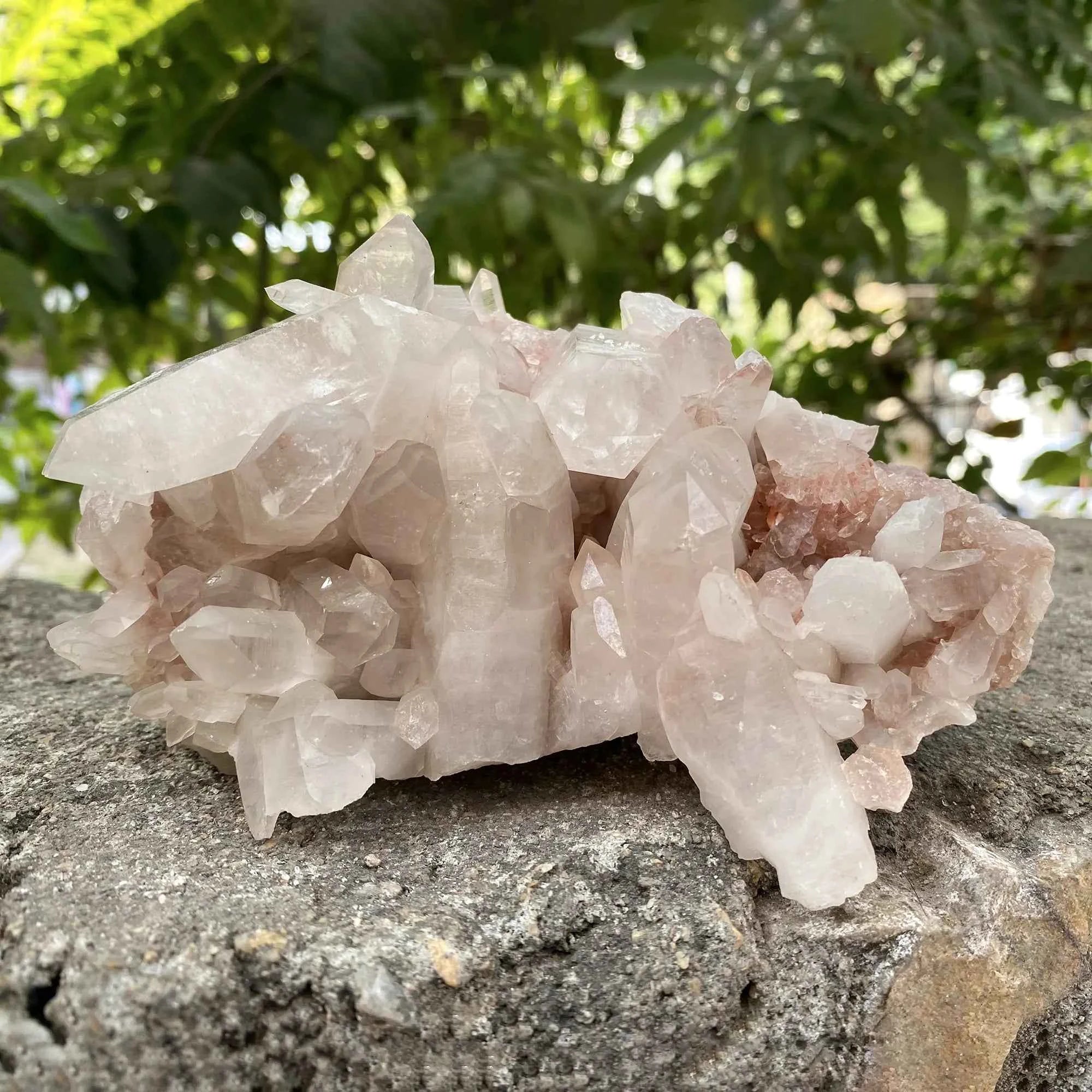 Natural Pink Himalayan Samadhi Quartz Crystal Cluster Healing Mineral Display