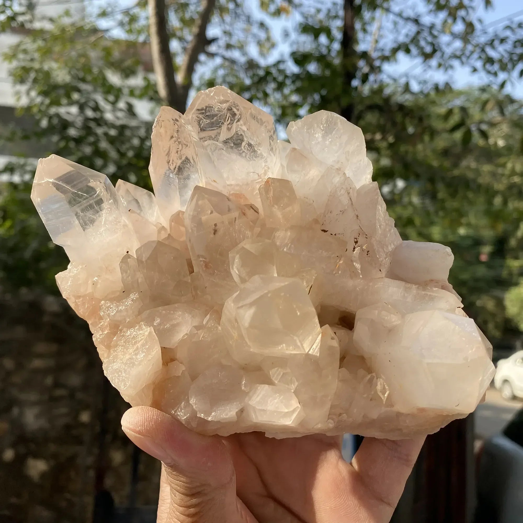 Natural Himalayan Pink Quartz Cluster 925g Himalayan Quartz