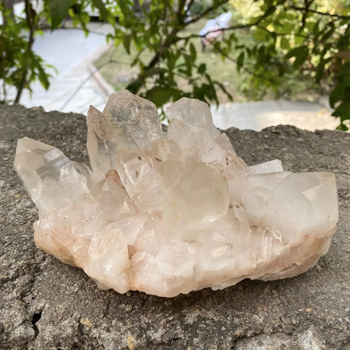 Natural Himalayan Pink Quartz Cluster 925g Himalayan Quartz