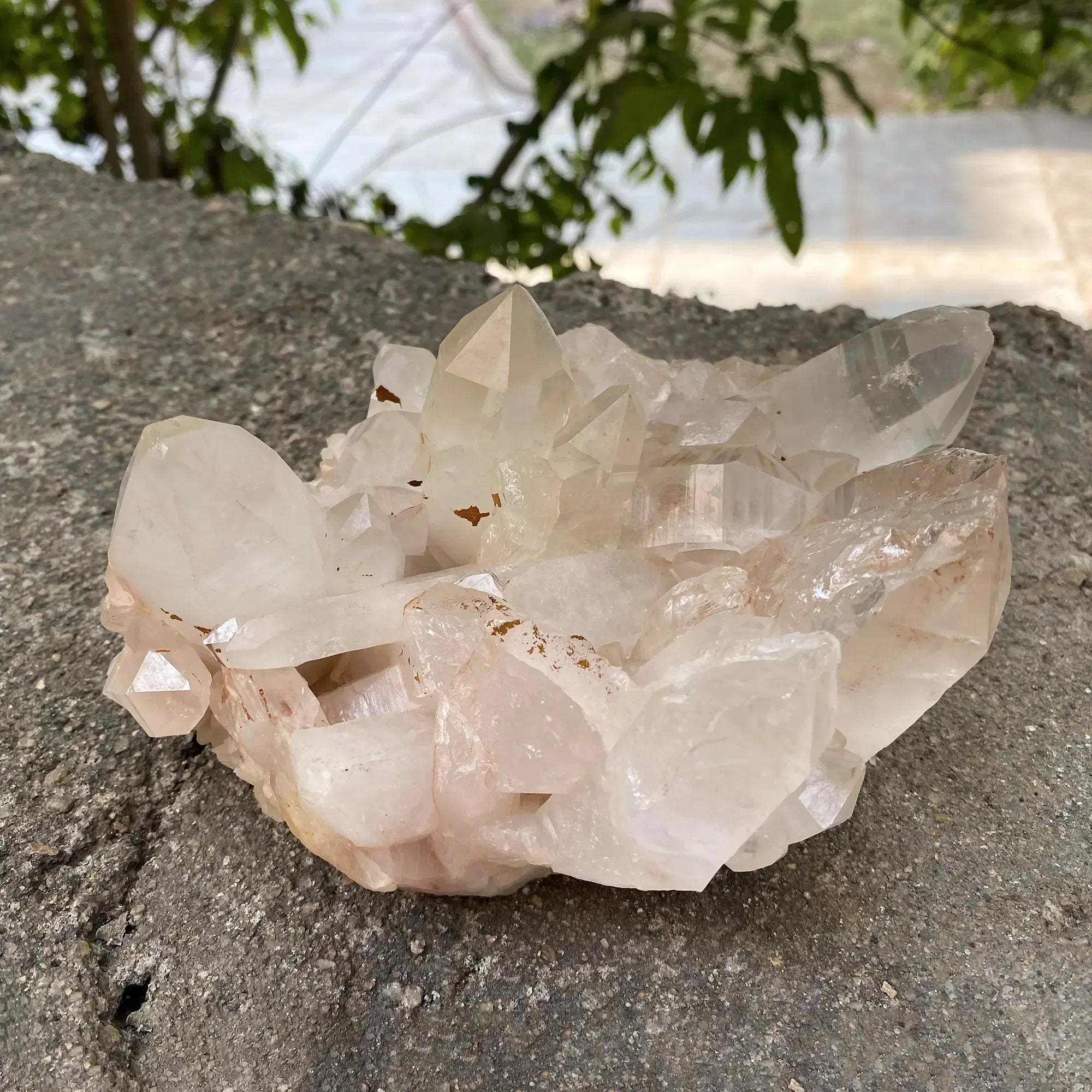 Natural Himalayan Pink Quartz Cluster 925g Himalayan Quartz