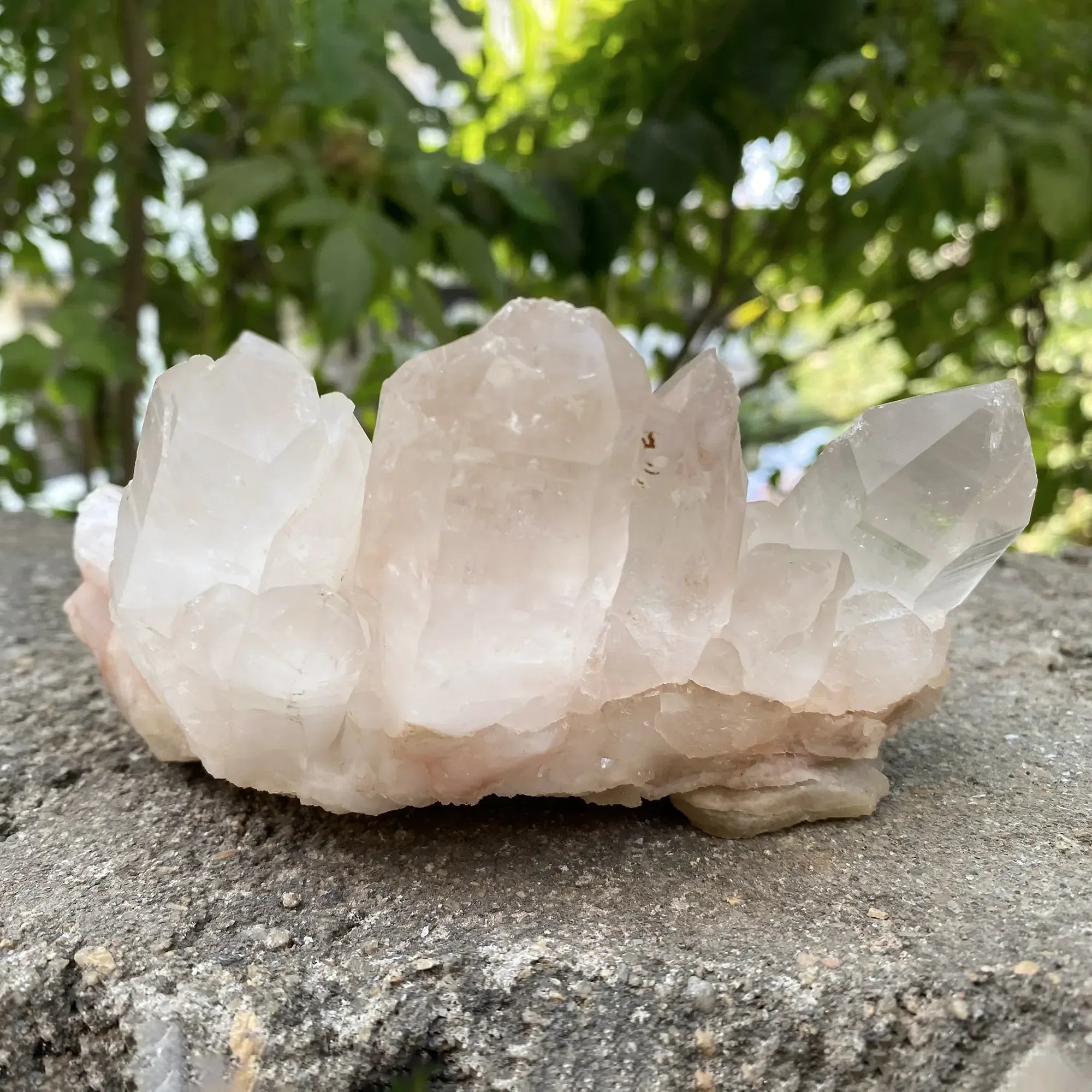 Natural Himalayan Pink Quartz Cluster 925g Himalayan Quartz