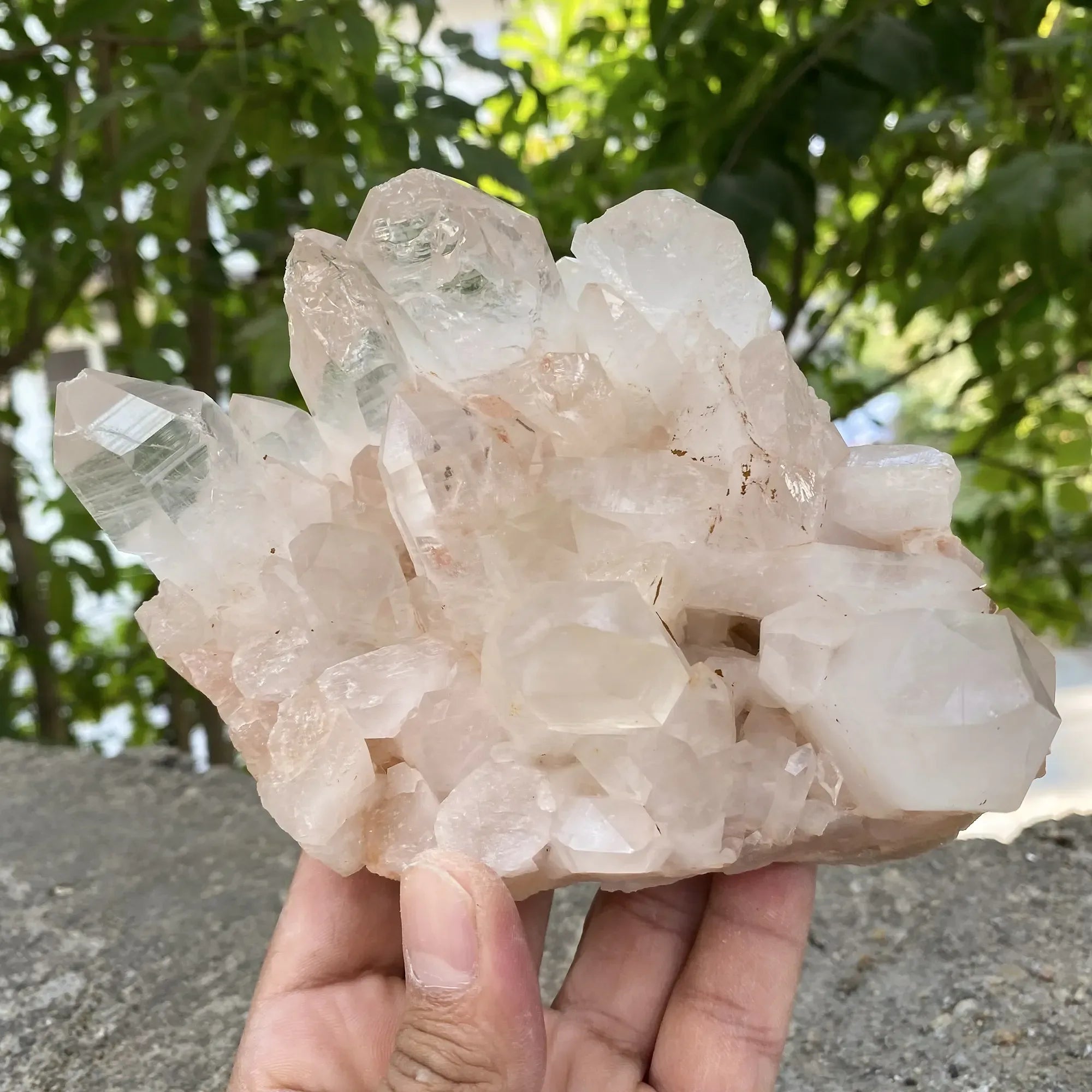 Natural Himalayan Pink Quartz Cluster 925g Himalayan Quartz