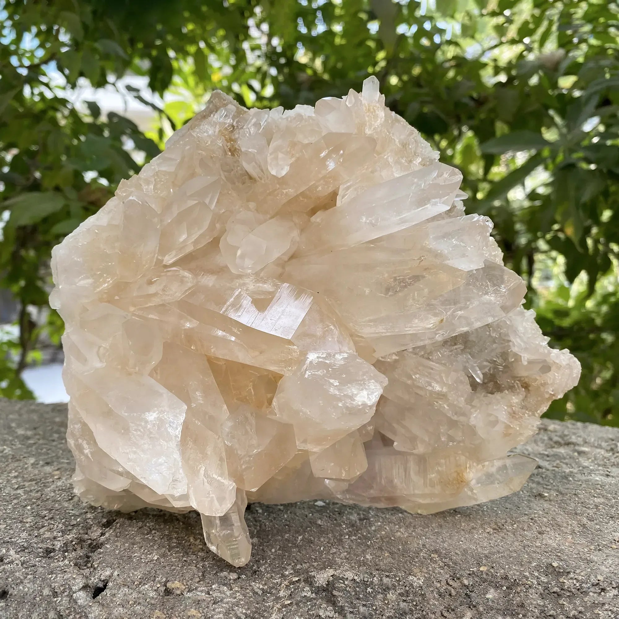 Natural Himalayan Pink Quartz Cluster 2330g Himalayan Quartz