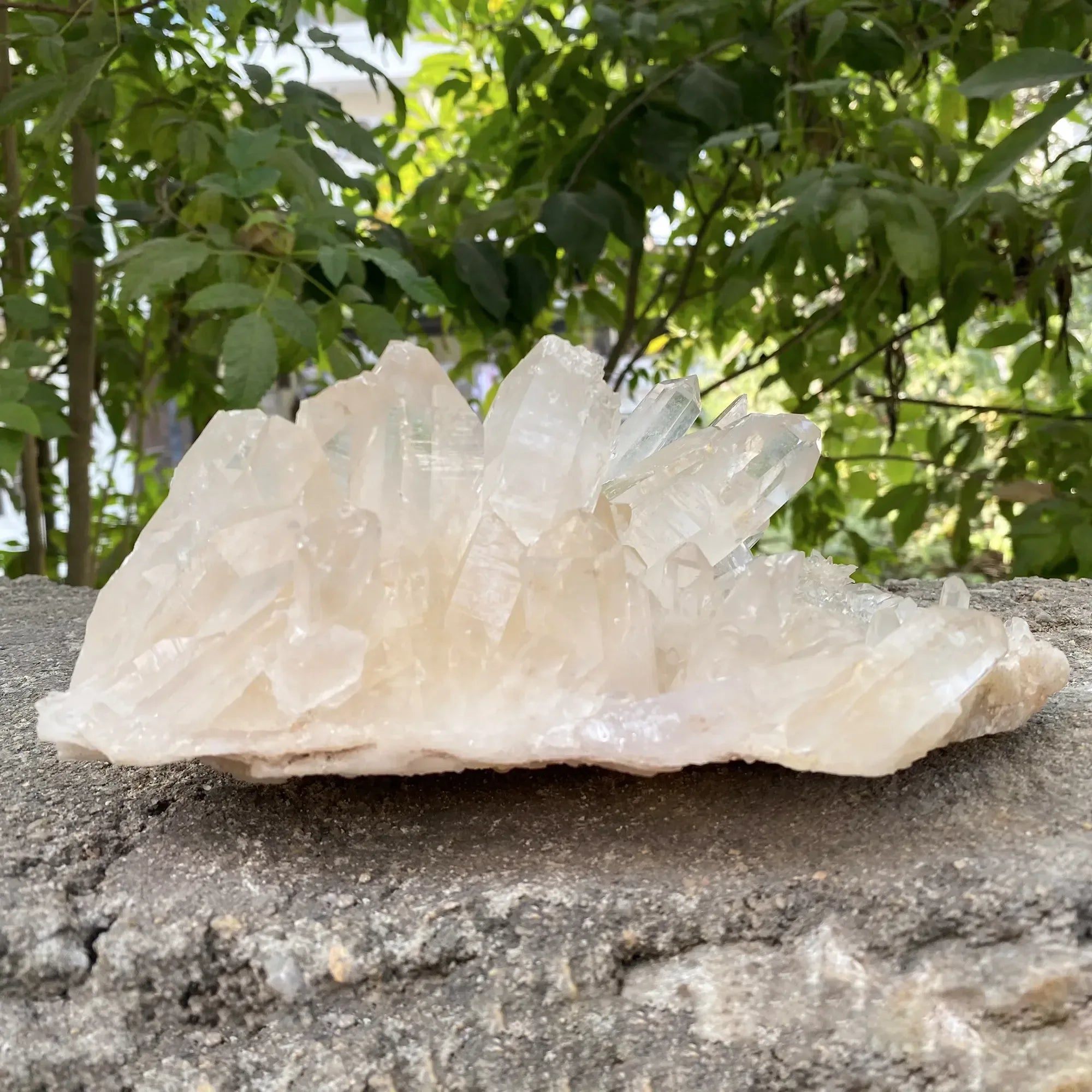 Natural Himalayan Pink Quartz Cluster 2330g Himalayan Quartz