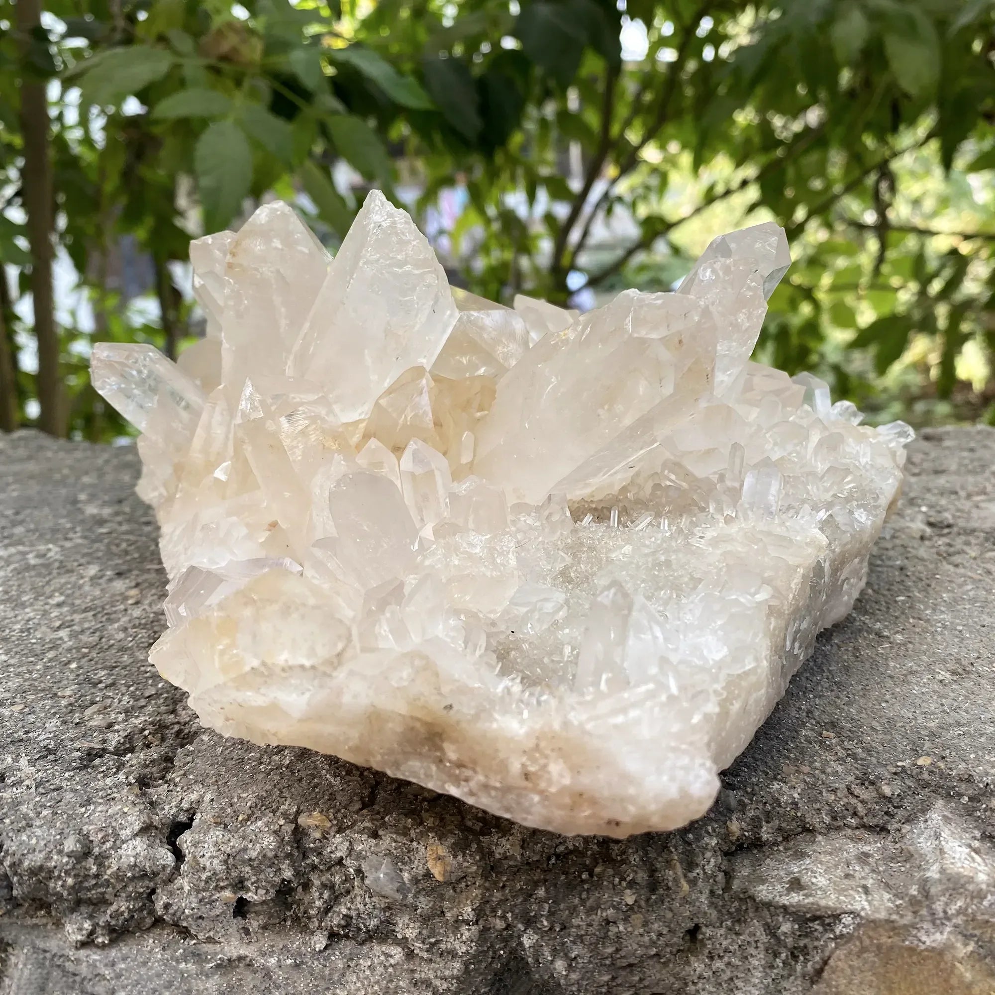 Natural Himalayan Pink Quartz Cluster 2330g Himalayan Quartz