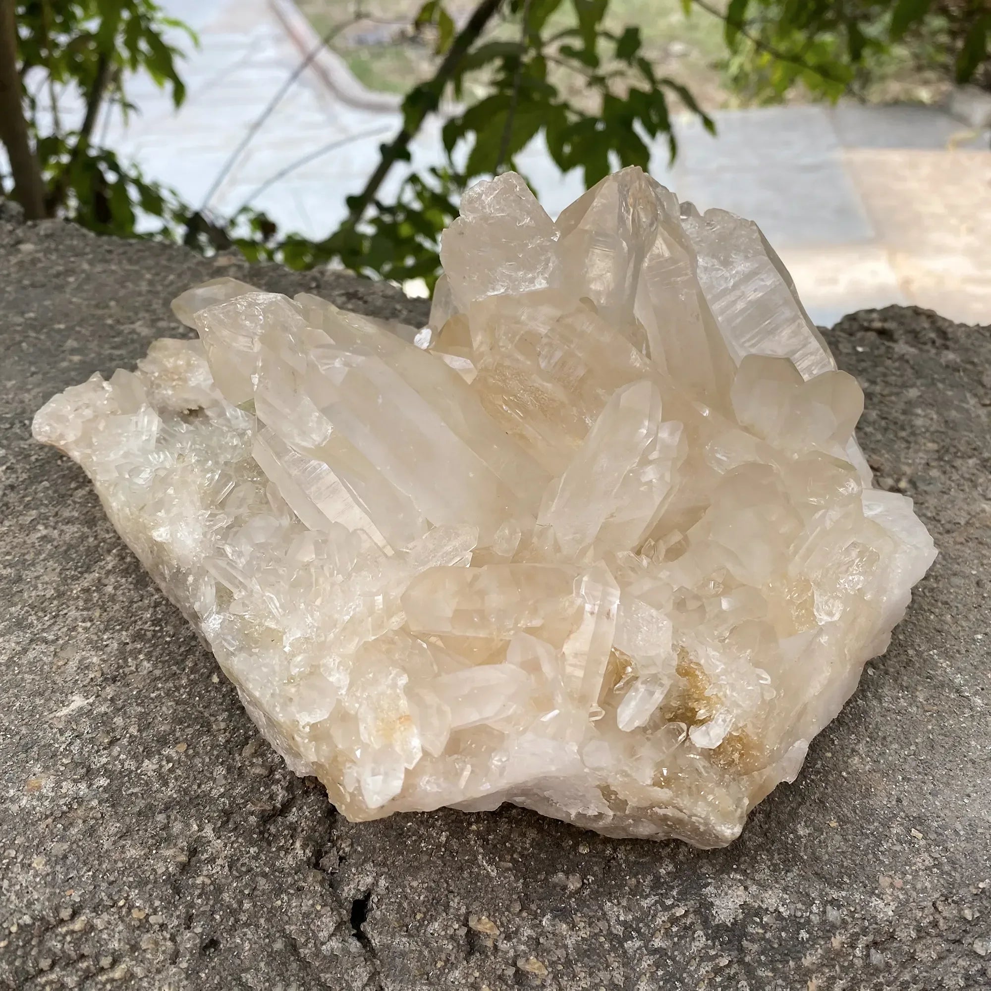 Natural Himalayan Pink Quartz Cluster 2330g Himalayan Quartz