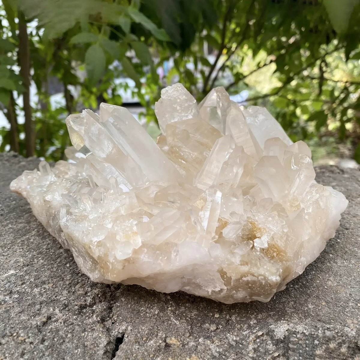 Natural Himalayan Pink Quartz Cluster 2330g Himalayan Quartz