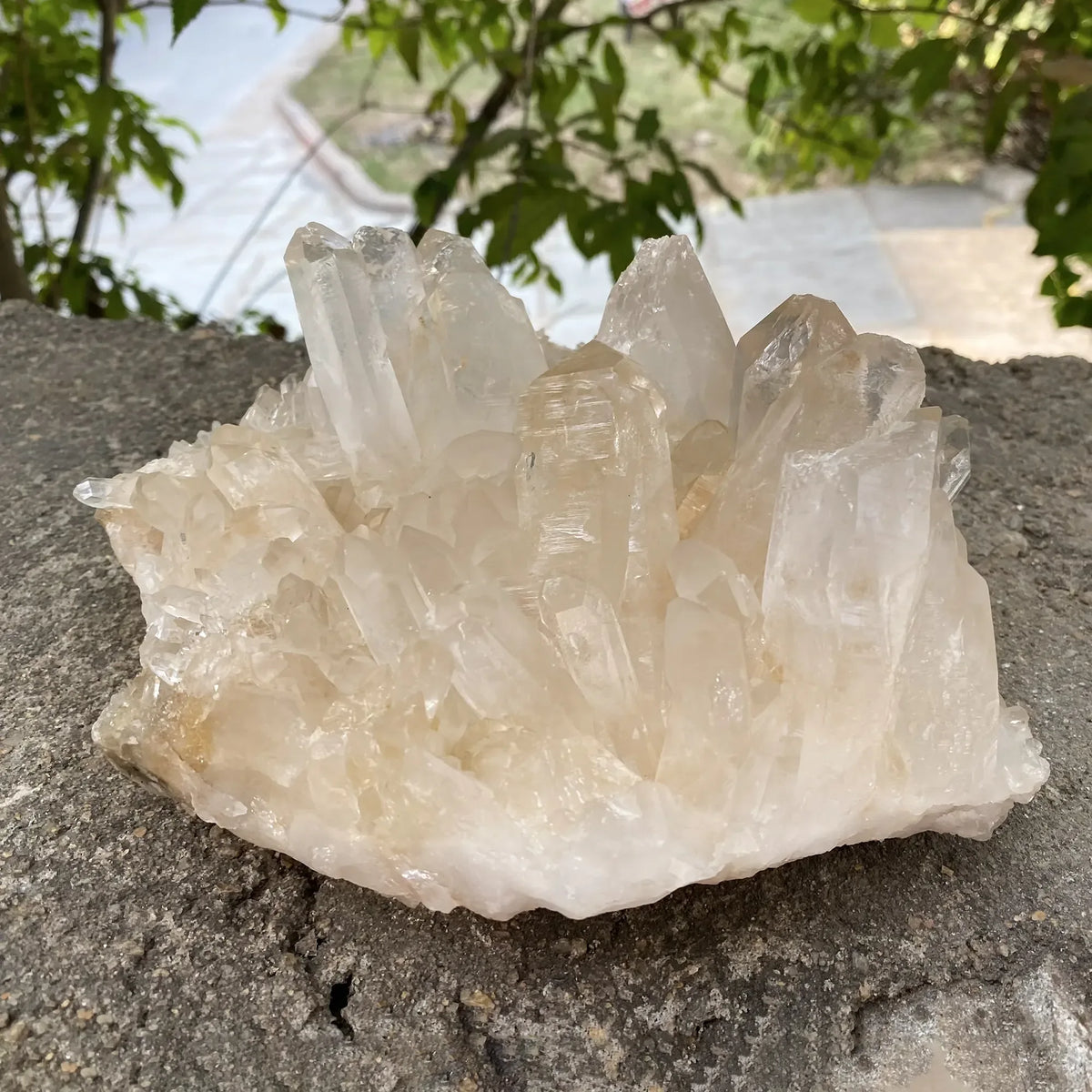 Natural Himalayan Pink Quartz Cluster 2330g Himalayan Quartz