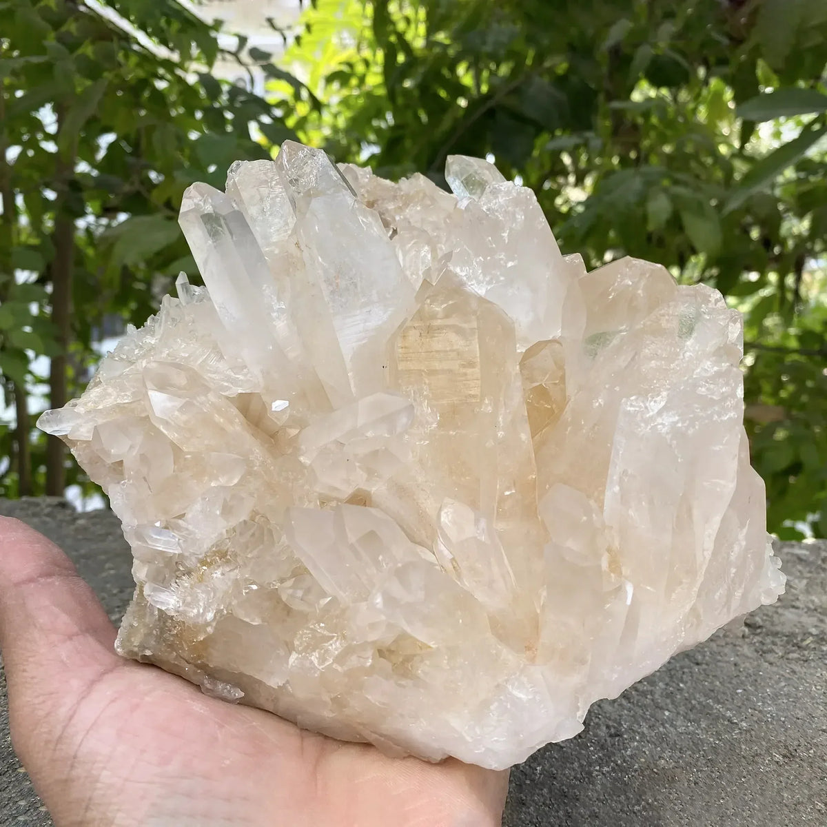 Natural Himalayan Pink Quartz Cluster 2330g Himalayan Quartz