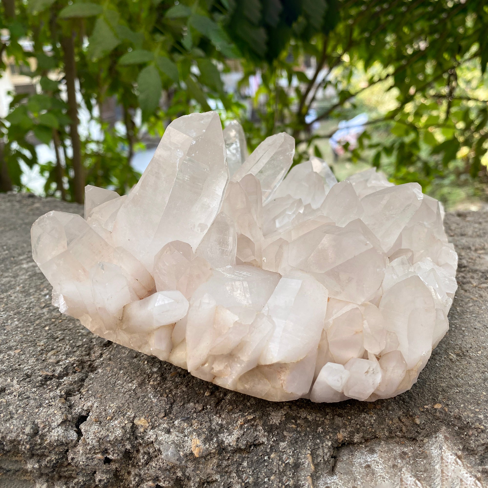 Natural Himalayan Pink Quartz Cluster 2175g Healing Crystal