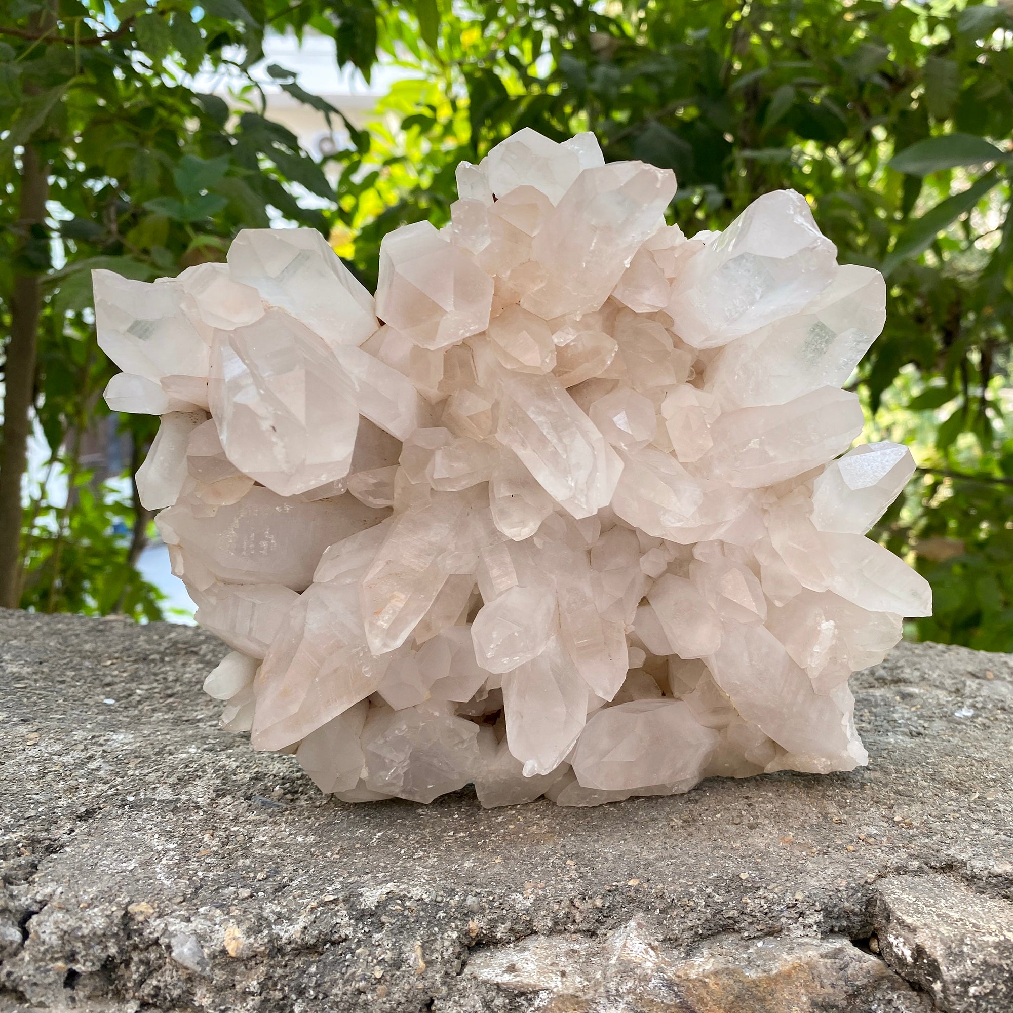 Natural Himalayan Pink Quartz Cluster 2175g Healing Crystal