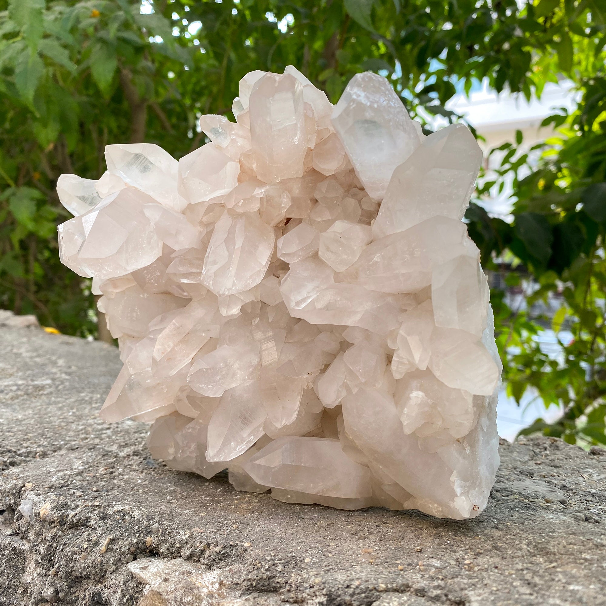 Natural Himalayan Pink Quartz Cluster 2175g Healing Crystal
