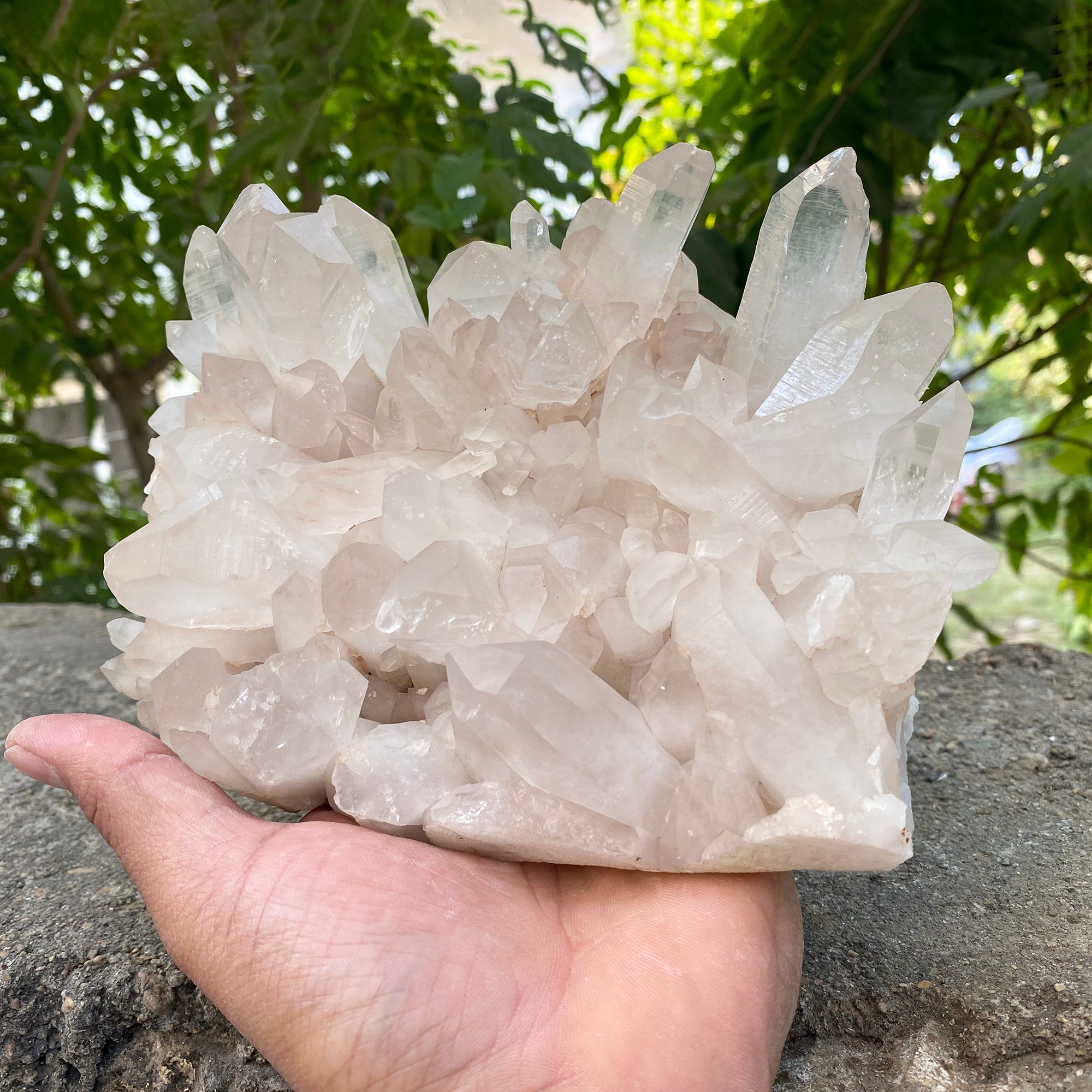 Natural Himalayan Pink Quartz Cluster 2175g Healing Crystal