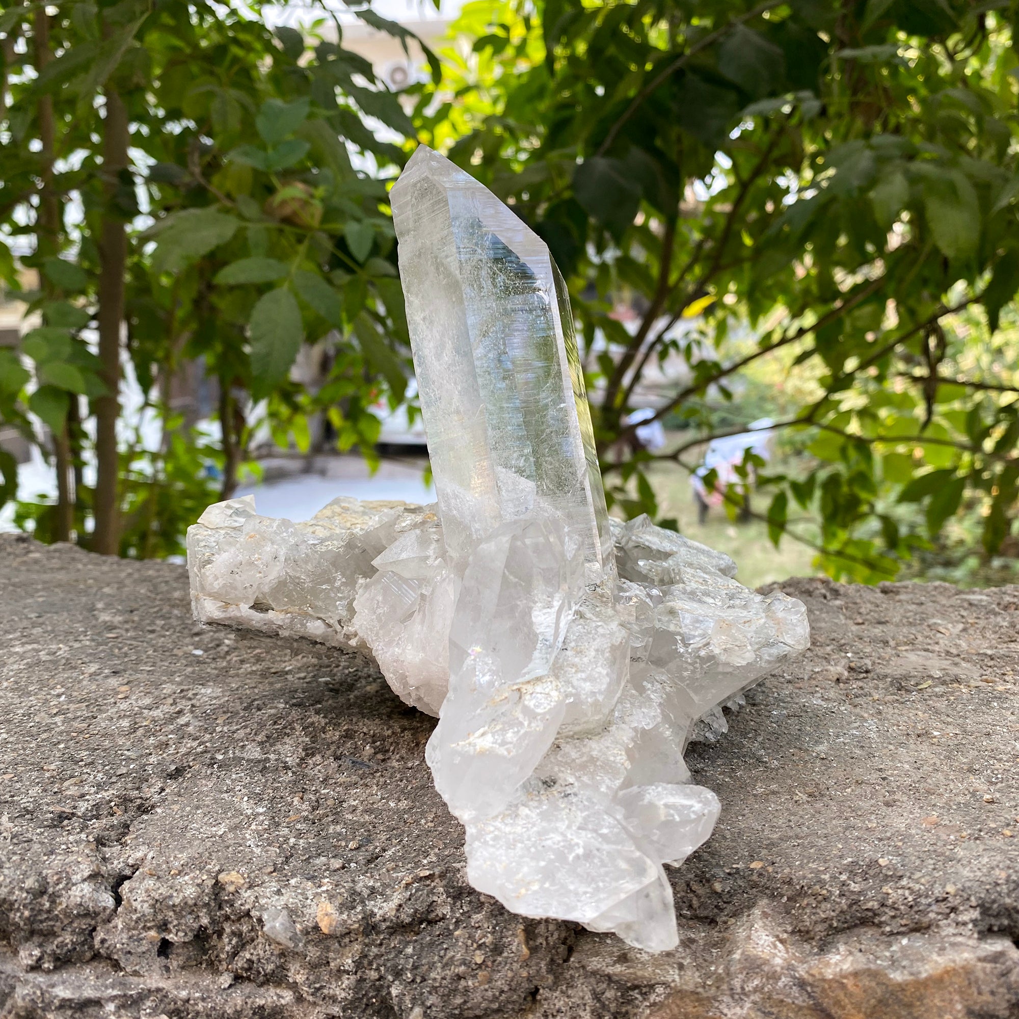 Natural Himalayan White Quartz Cluster 1460g Healing Crystal