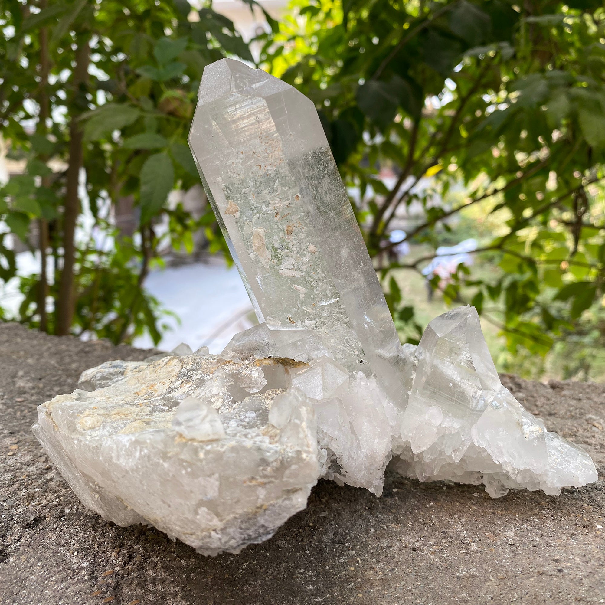 Natural Himalayan White Quartz Cluster 1460g Healing Crystal