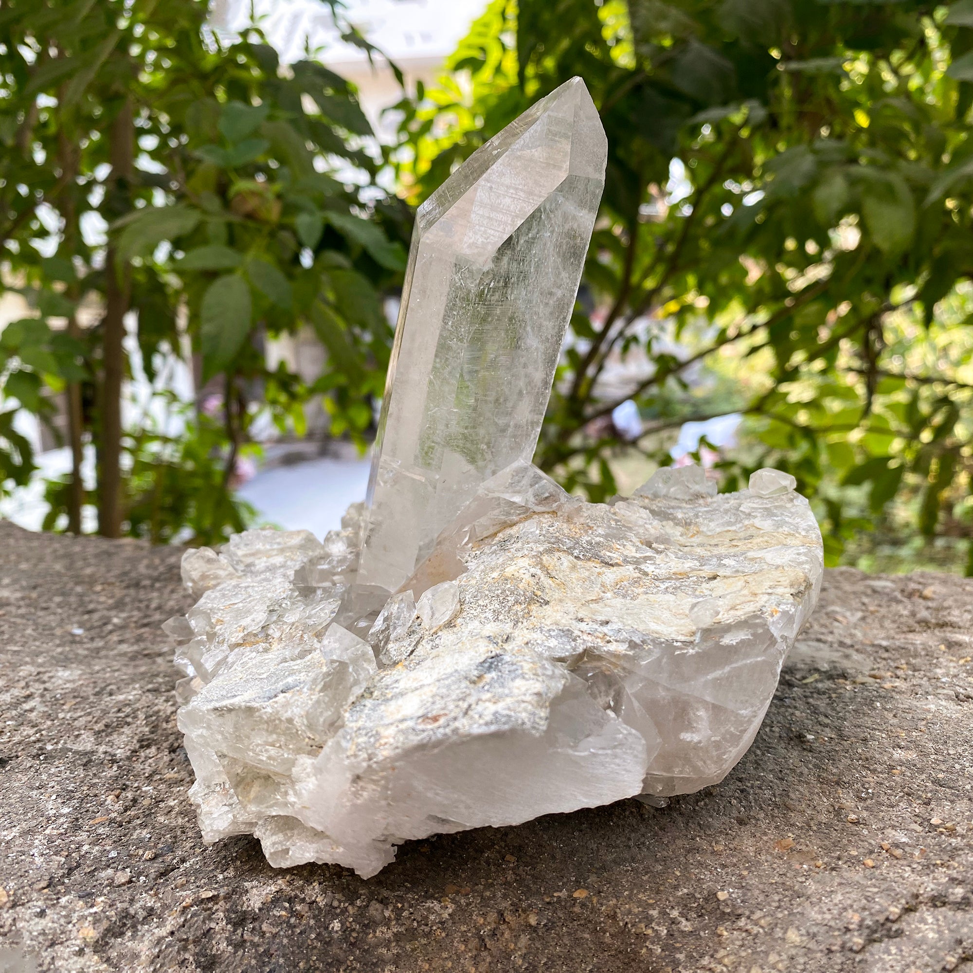 Natural Himalayan White Quartz Cluster 1460g Healing Crystal
