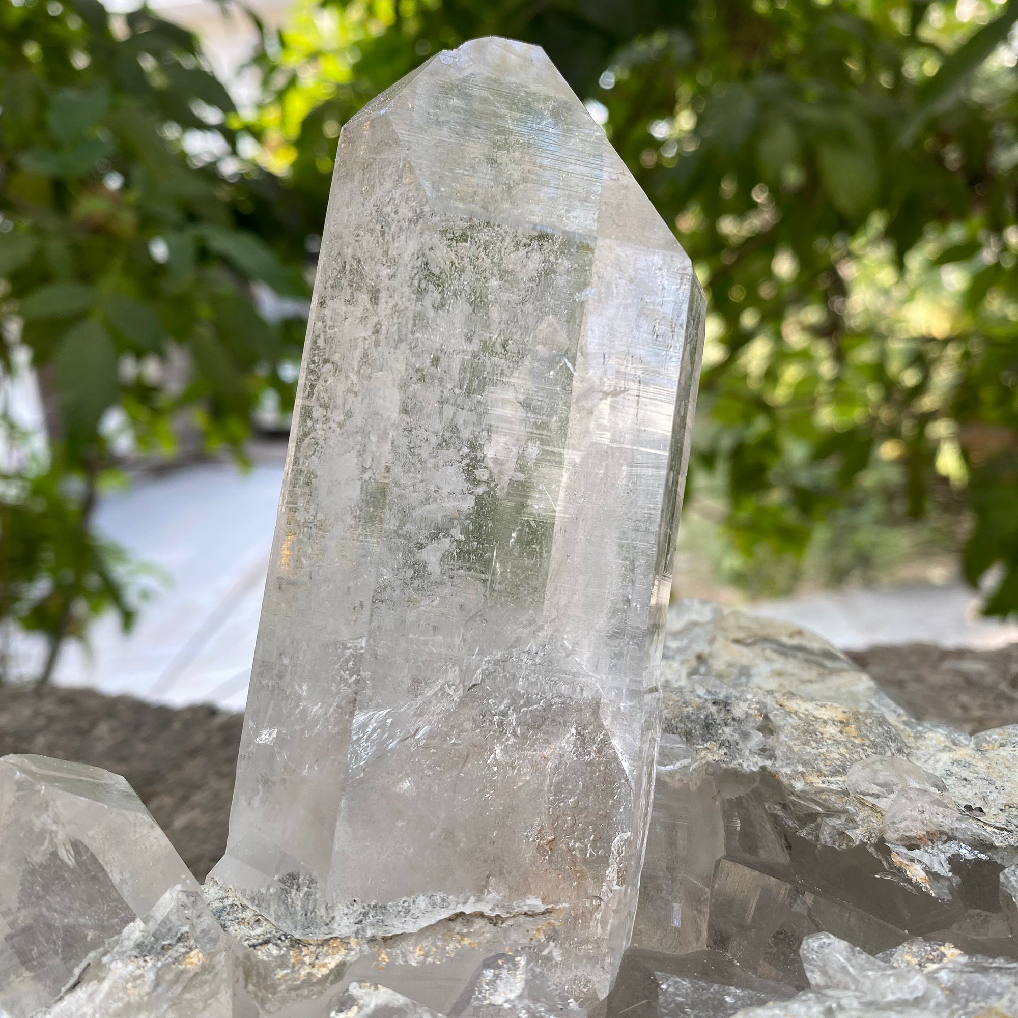 Natural Himalayan White Quartz Cluster 1460g Healing Crystal