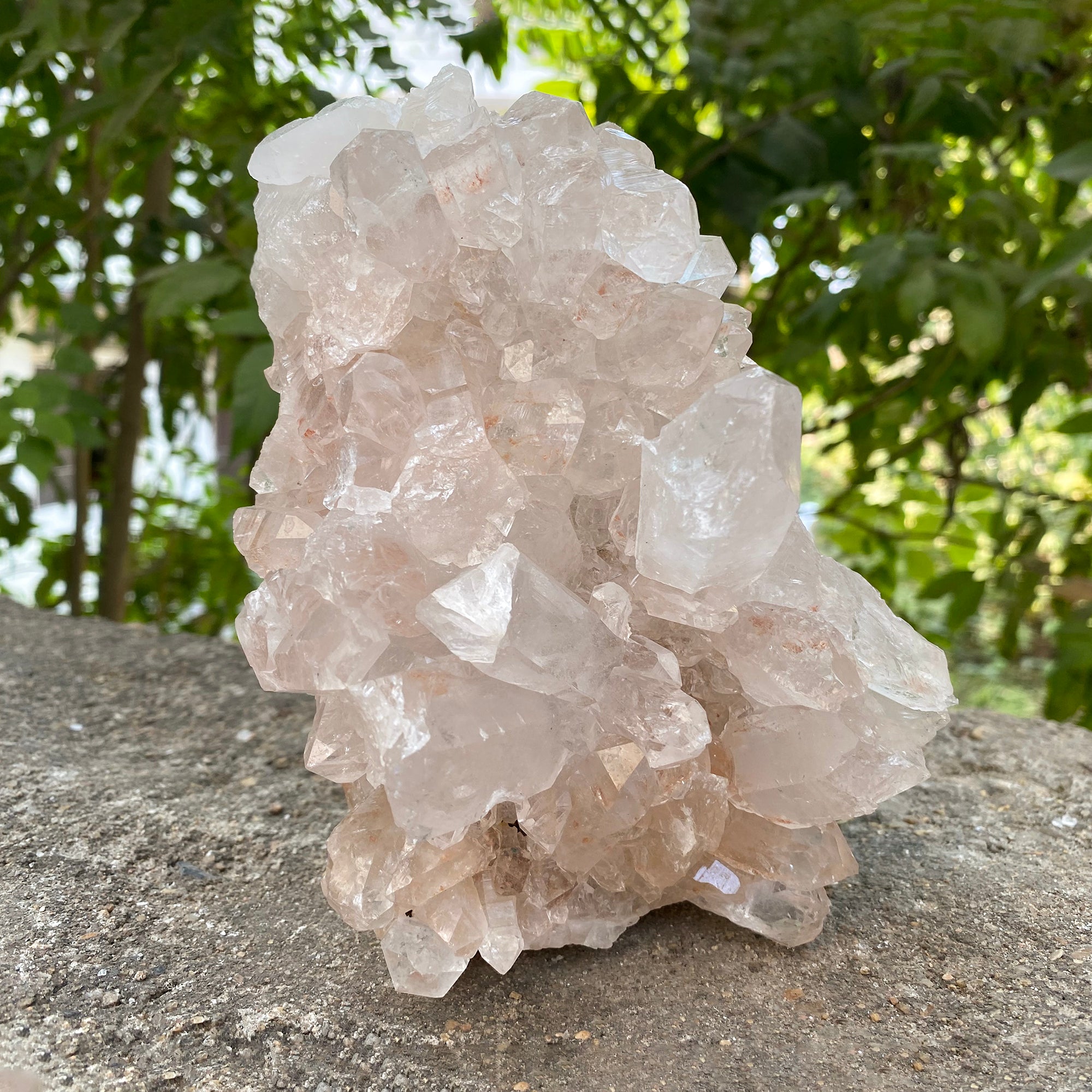 Natural Himalayan Pink Quartz Cluster 2010g Healing Crystal