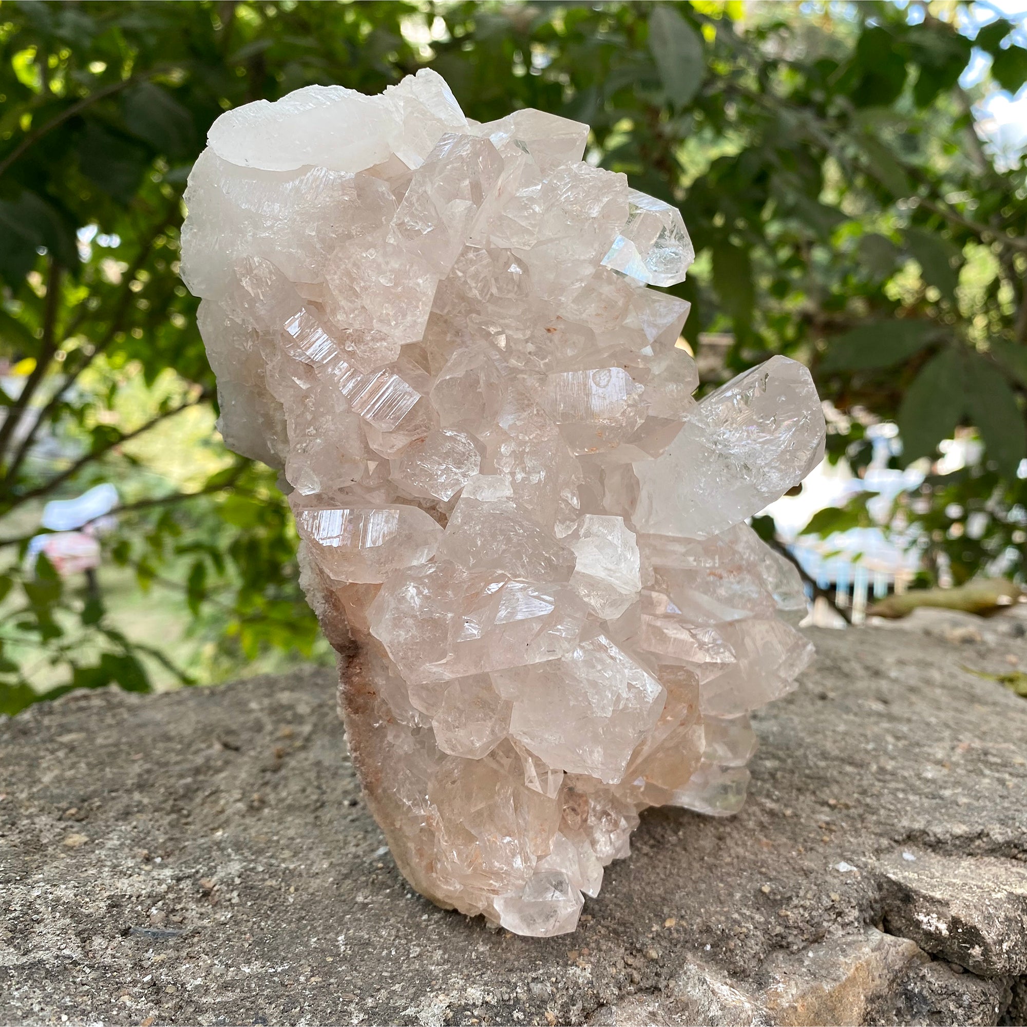 Natural Himalayan Pink Quartz Cluster 2010g Healing Crystal