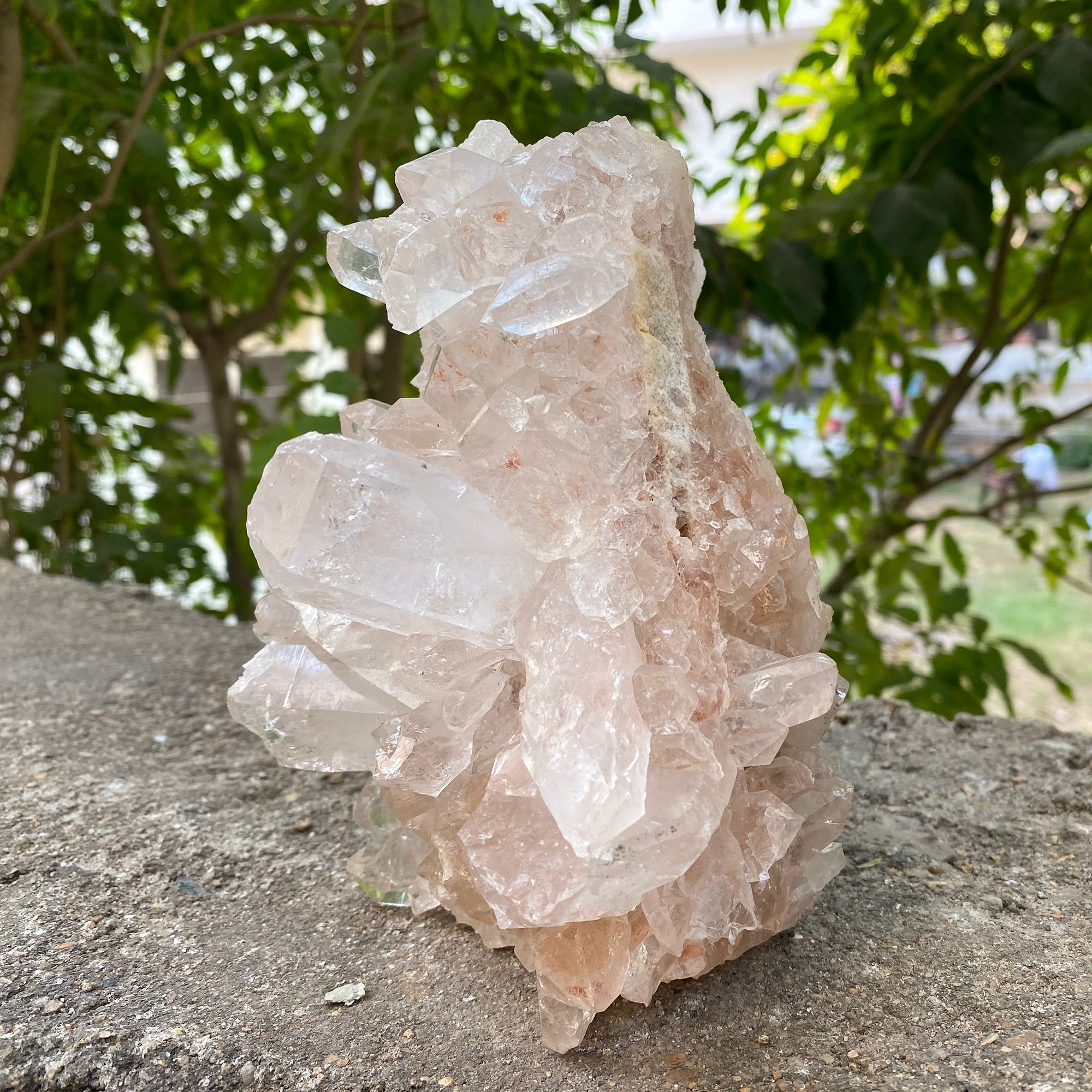 Natural Himalayan Pink Quartz Cluster 2010g Healing Crystal