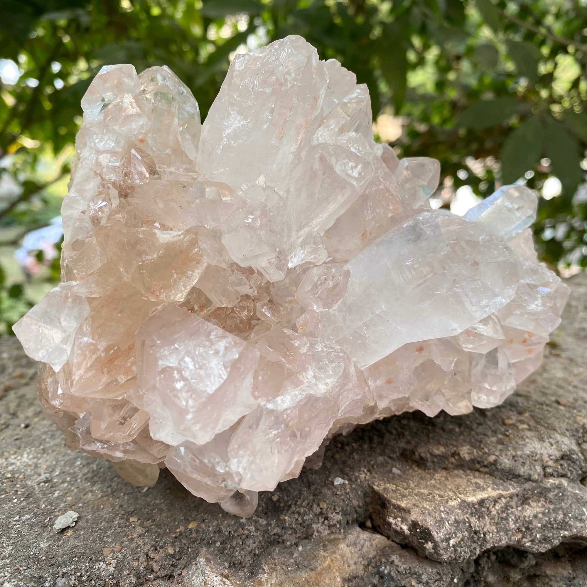 Natural Himalayan Pink Quartz Cluster 2010g Healing Crystal
