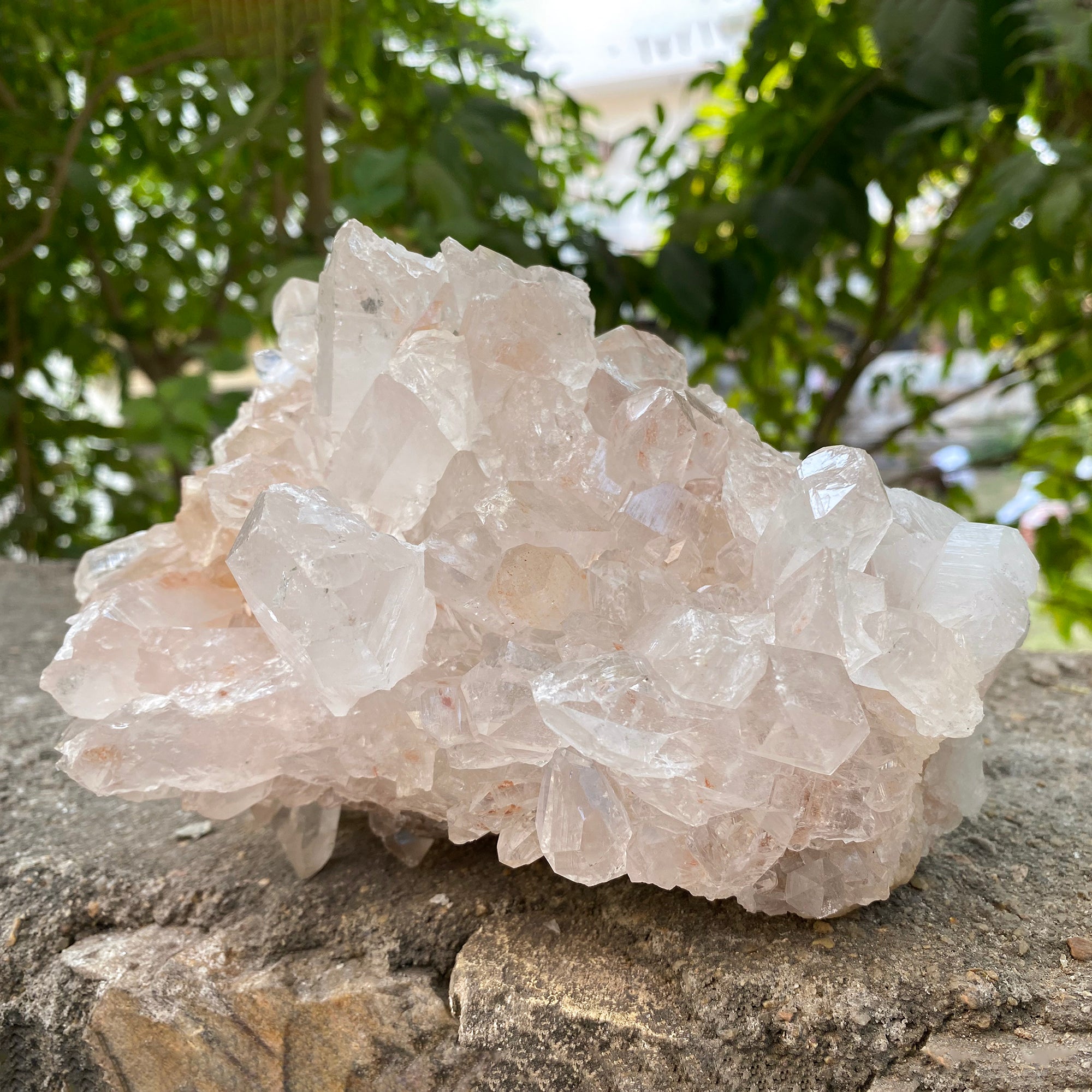 Natural Himalayan Pink Quartz Cluster 2010g Healing Crystal
