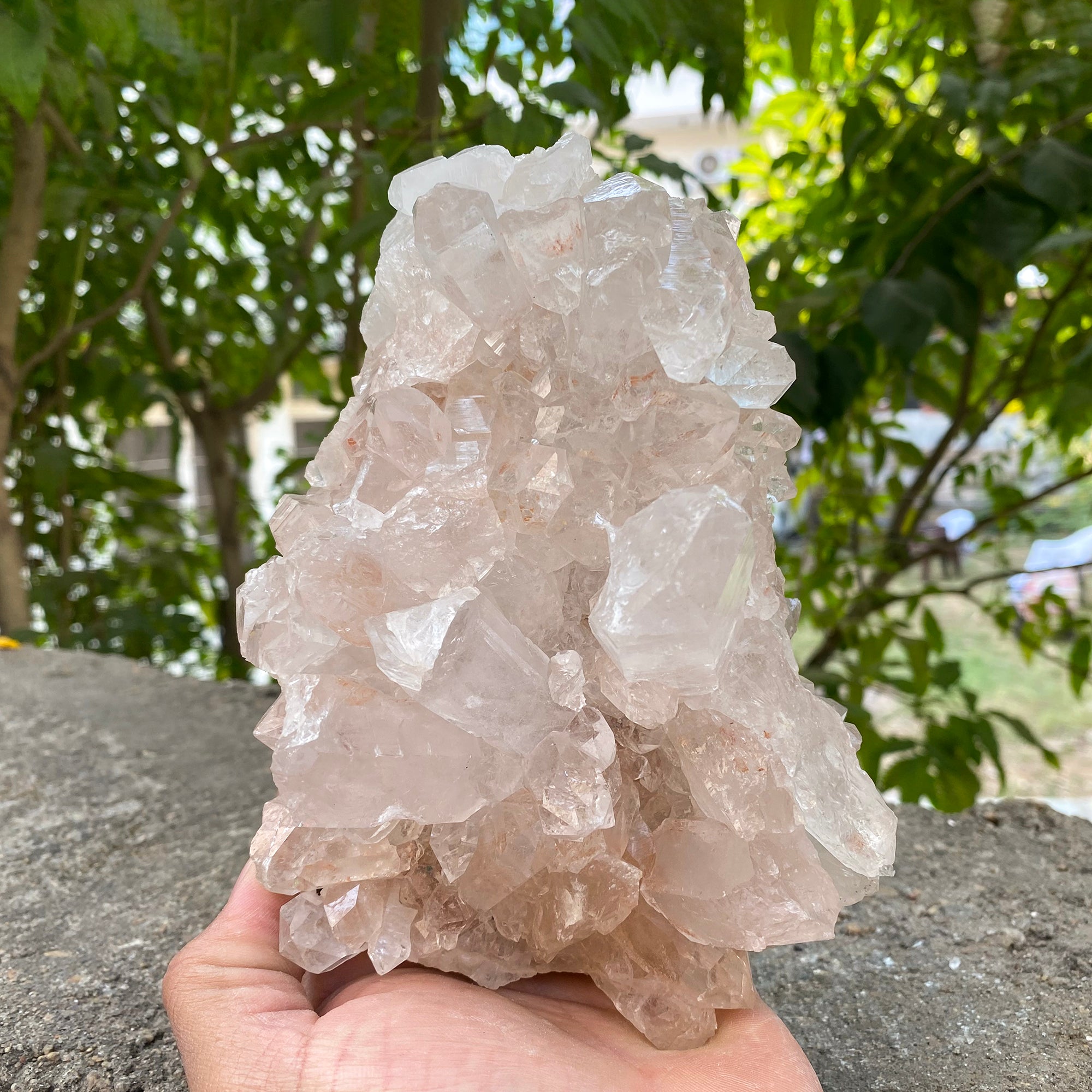 Natural Himalayan Pink Quartz Cluster 2010g Healing Crystal