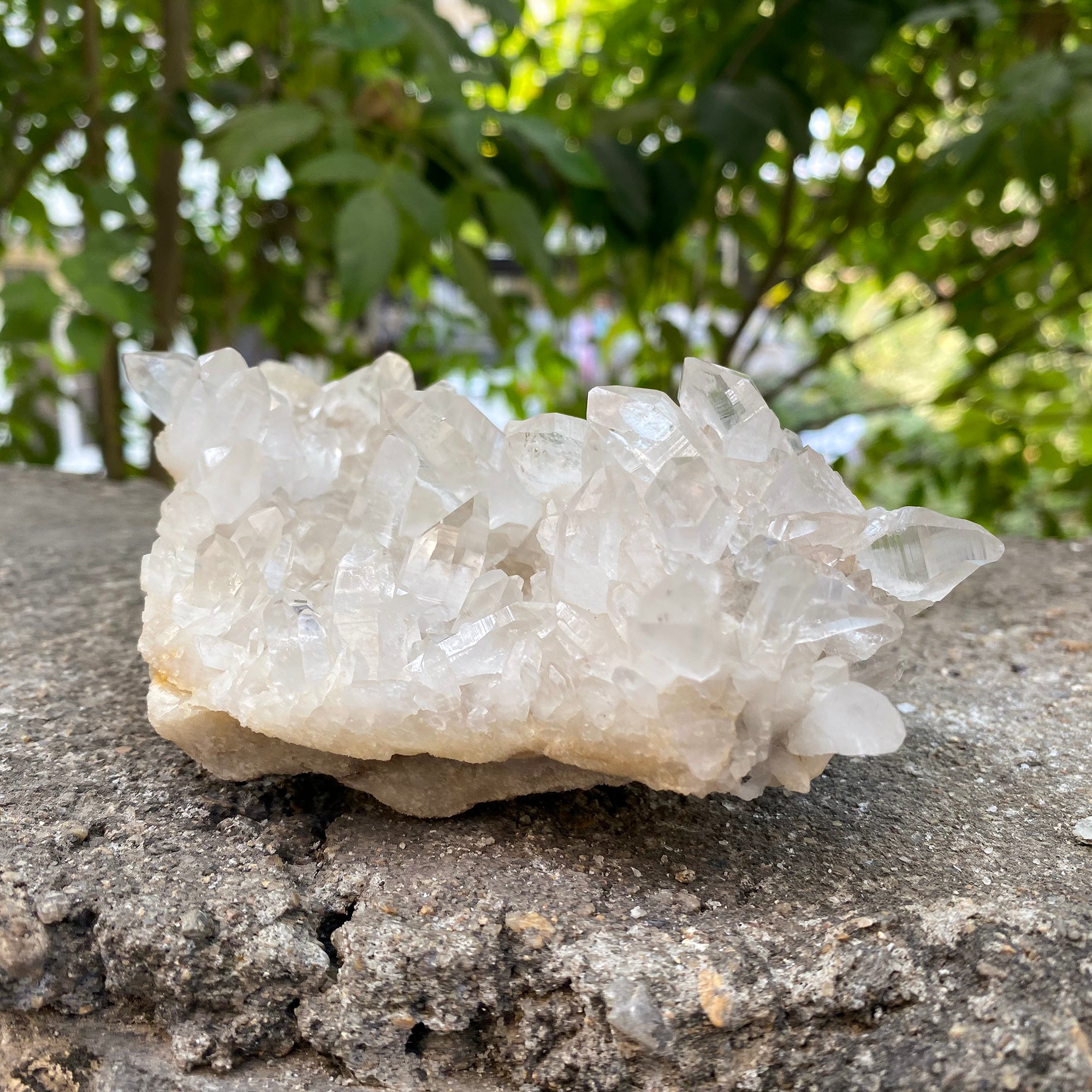 Natural Himalayan White Quartz Cluster 1955g Healing Crystal