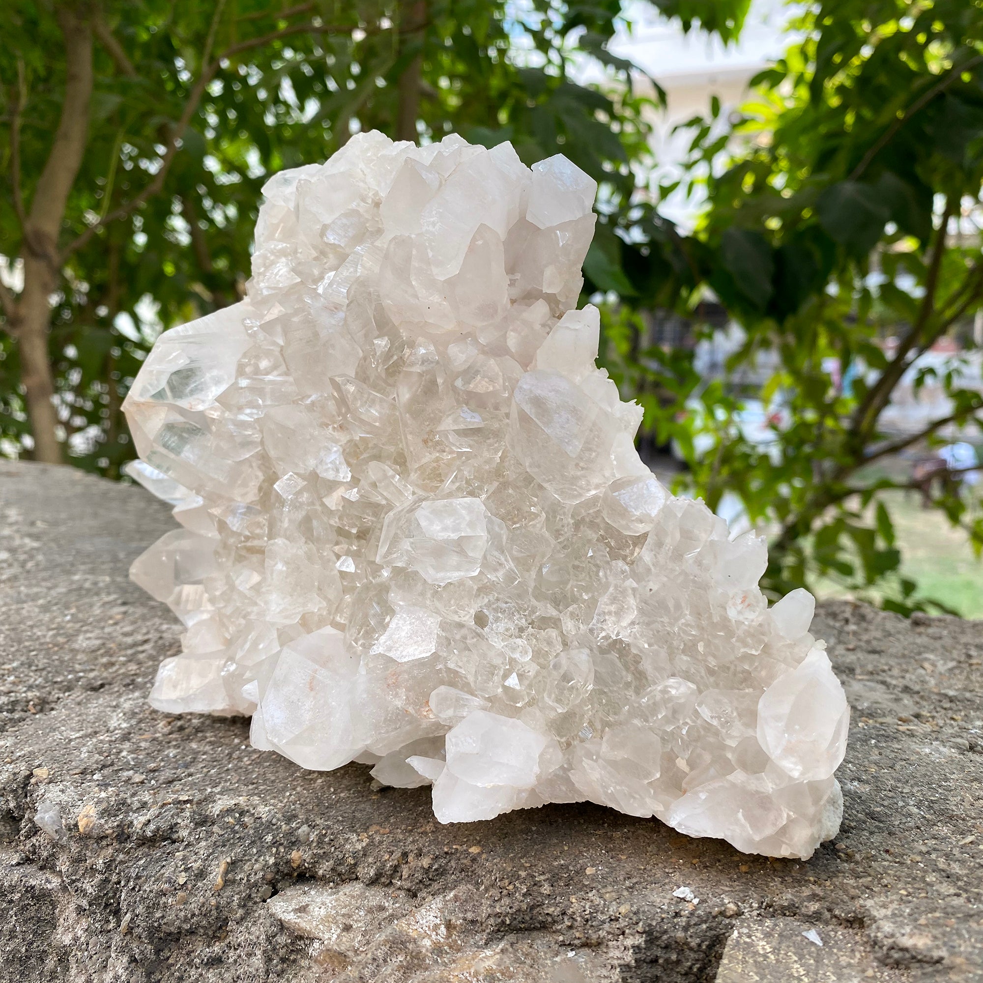 Natural Himalayan White Quartz Cluster 600g Healing Crystal