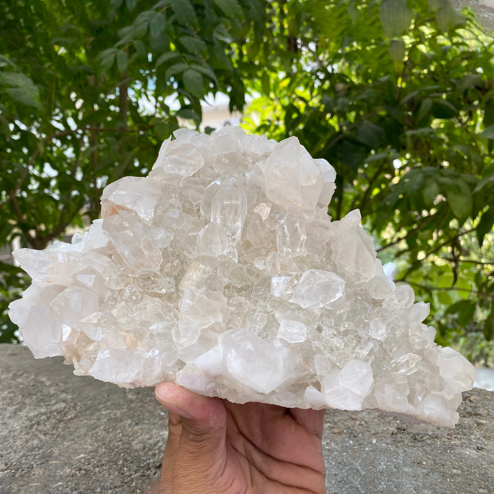 Natural Himalayan White Quartz Cluster 600g Healing Crystal