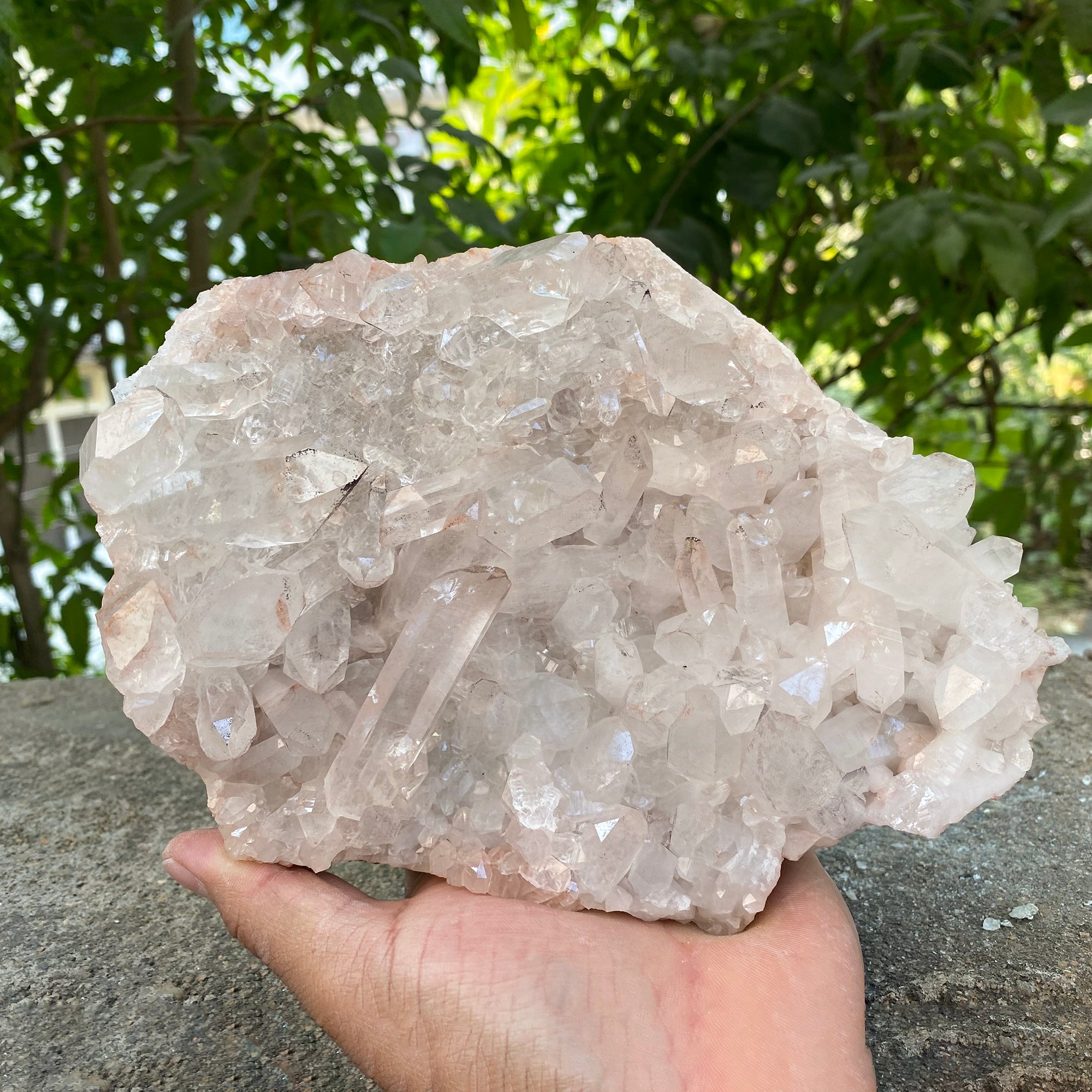 Natural Himalayan Pink Quartz Cluster 1910g Healing Crystal