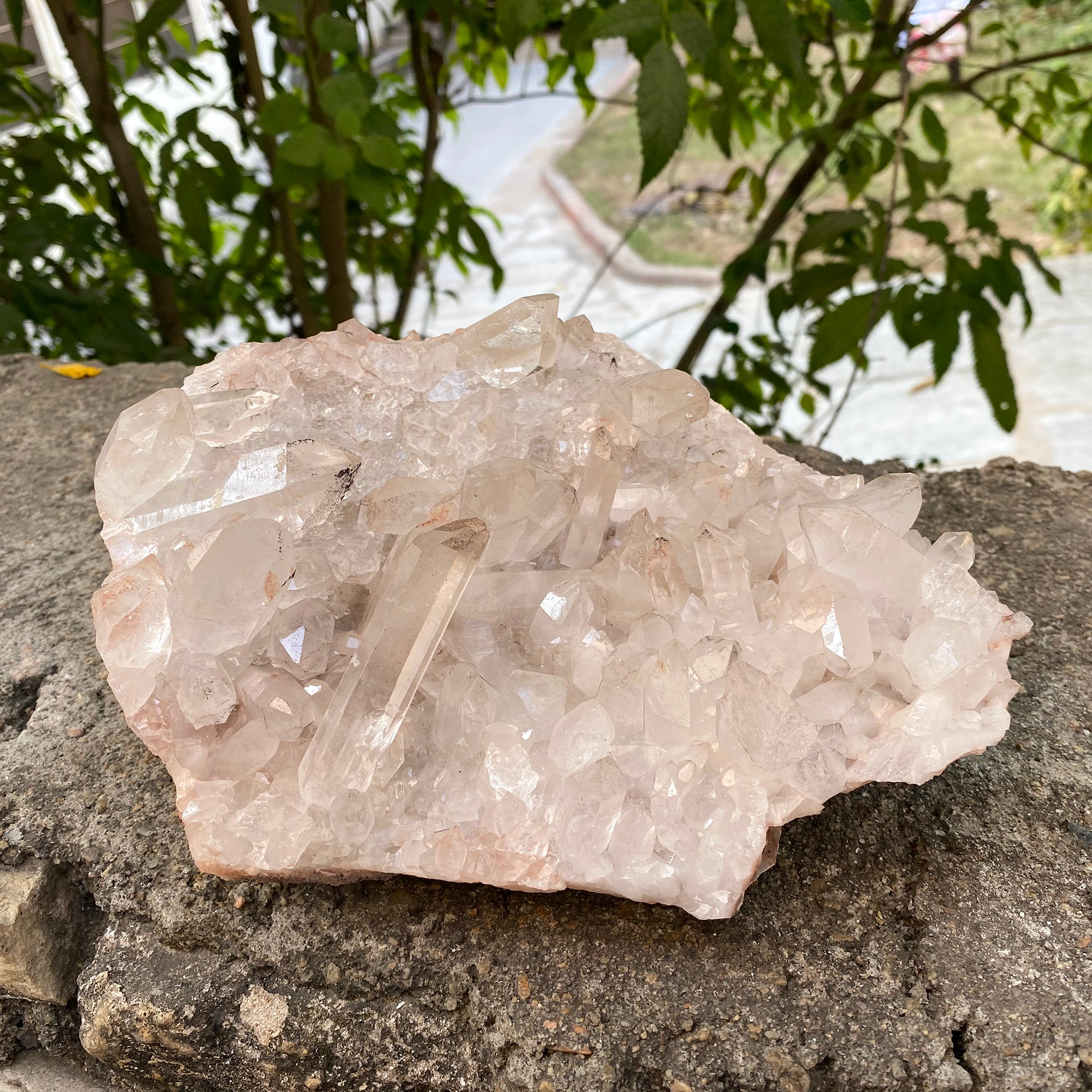 Natural Himalayan Pink Quartz Cluster 1910g Healing Crystal