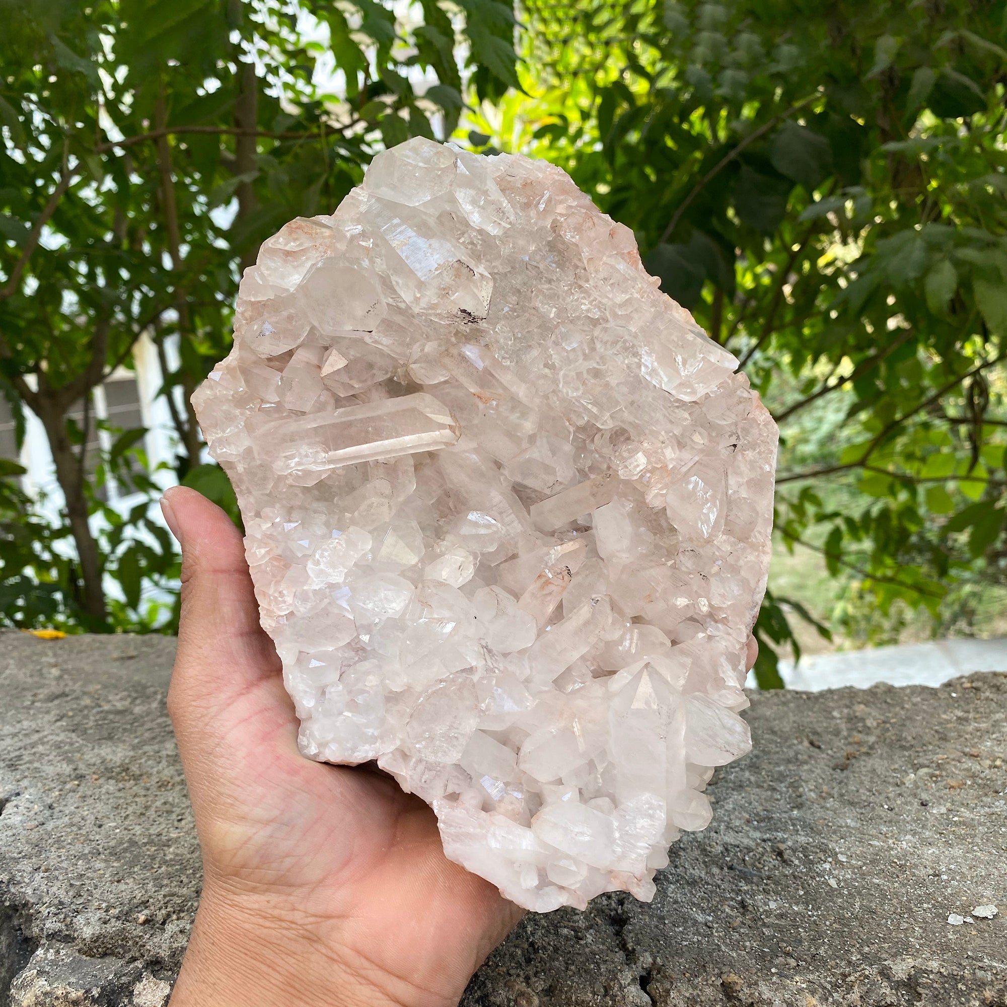 Natural Himalayan Pink Quartz Cluster 1910g Healing Crystal