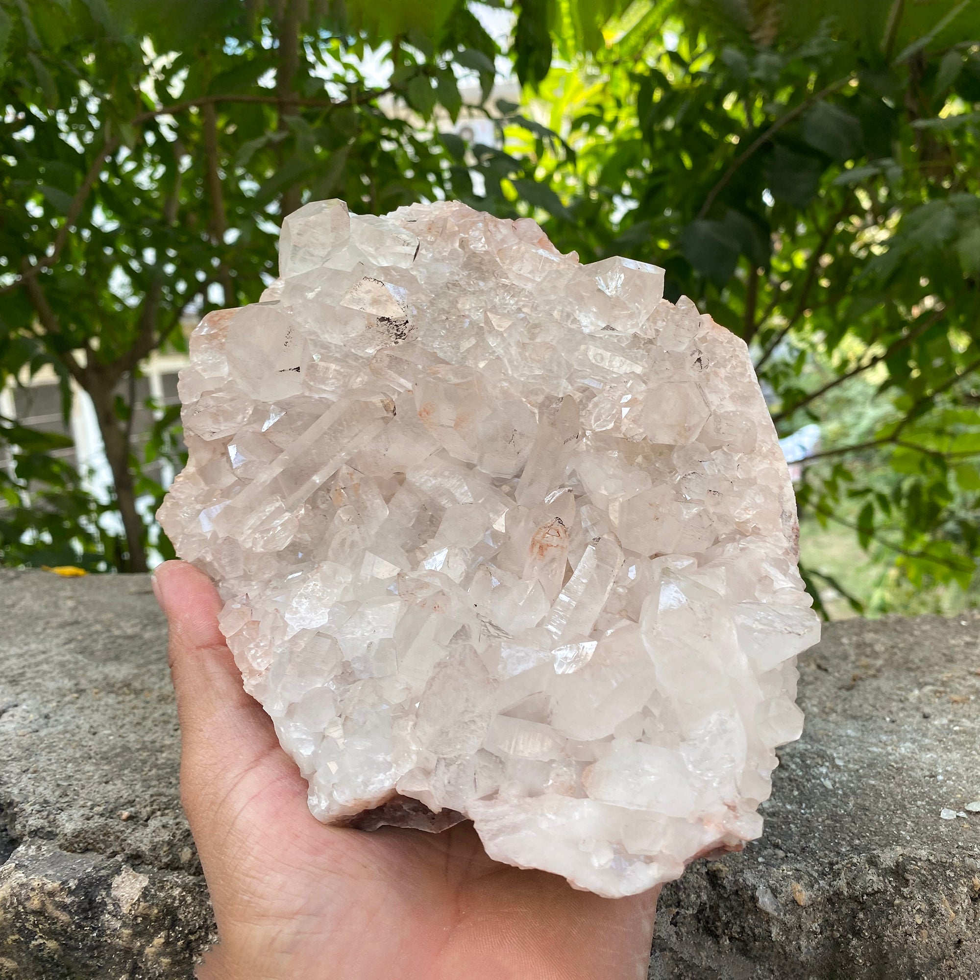 Natural Himalayan Pink Quartz Cluster 1910g Healing Crystal