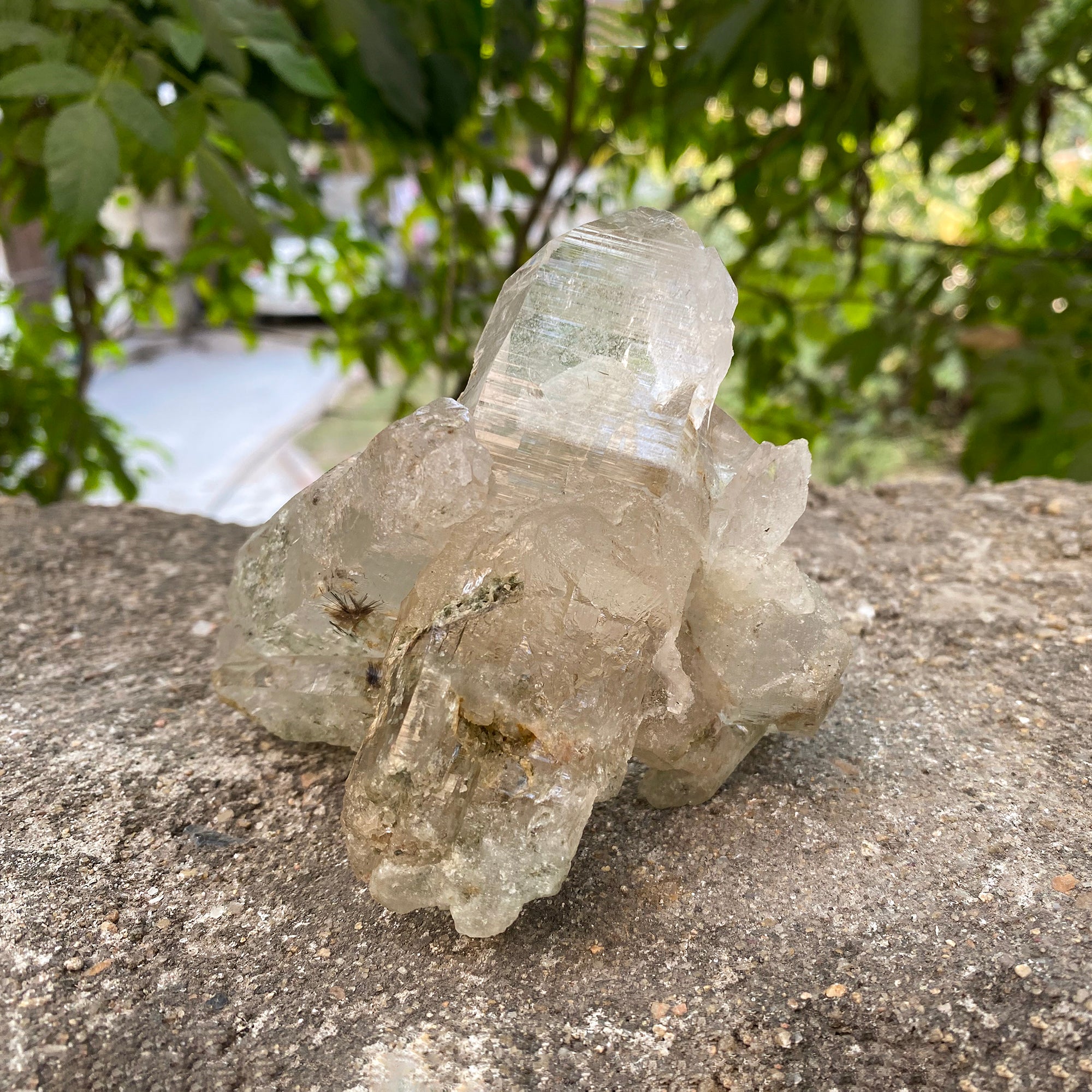 Natural Himalayan Chlorite Quartz with Phantom 410g Healing Crystal