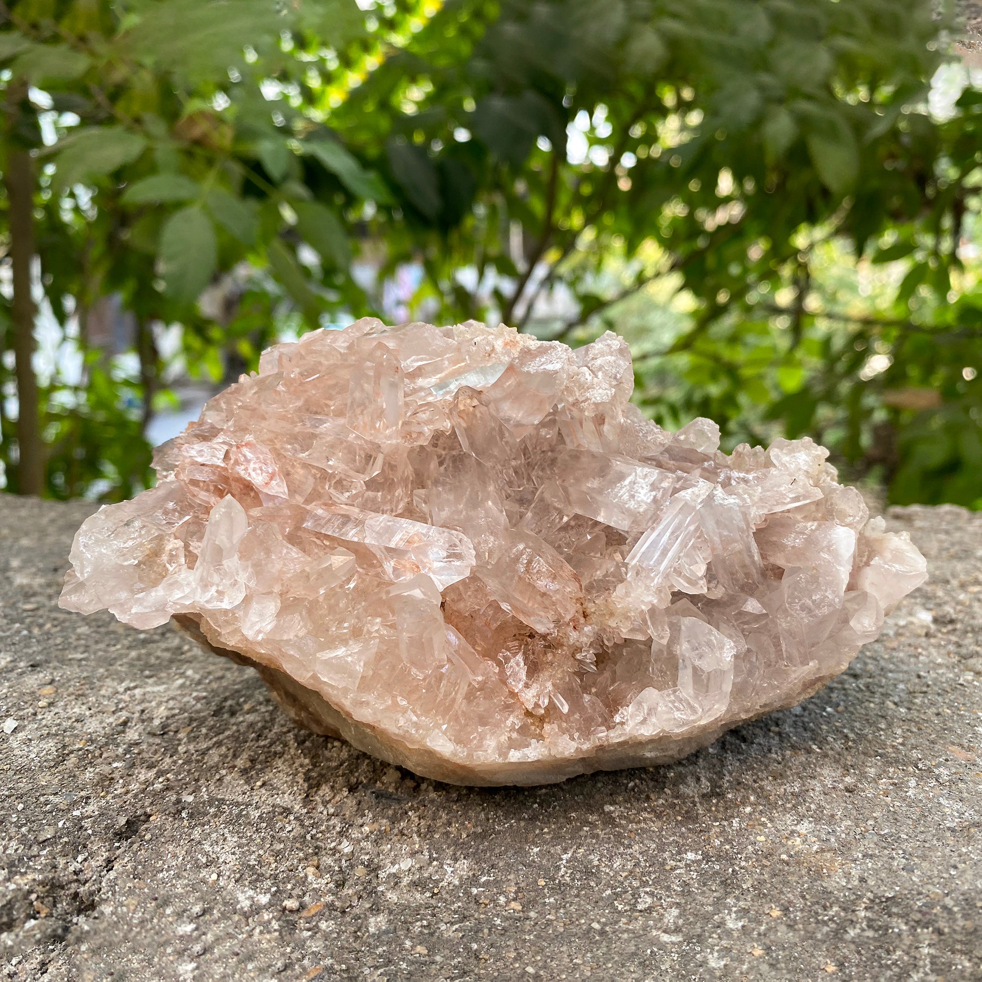 Natural Himalayan Pink Quartz Cluster 875g Healing Crystal