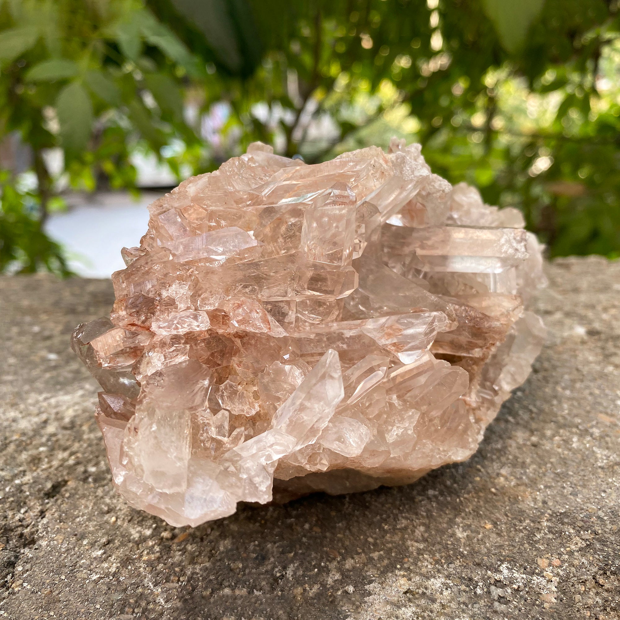 Natural Himalayan Pink Quartz Cluster 875g Healing Crystal
