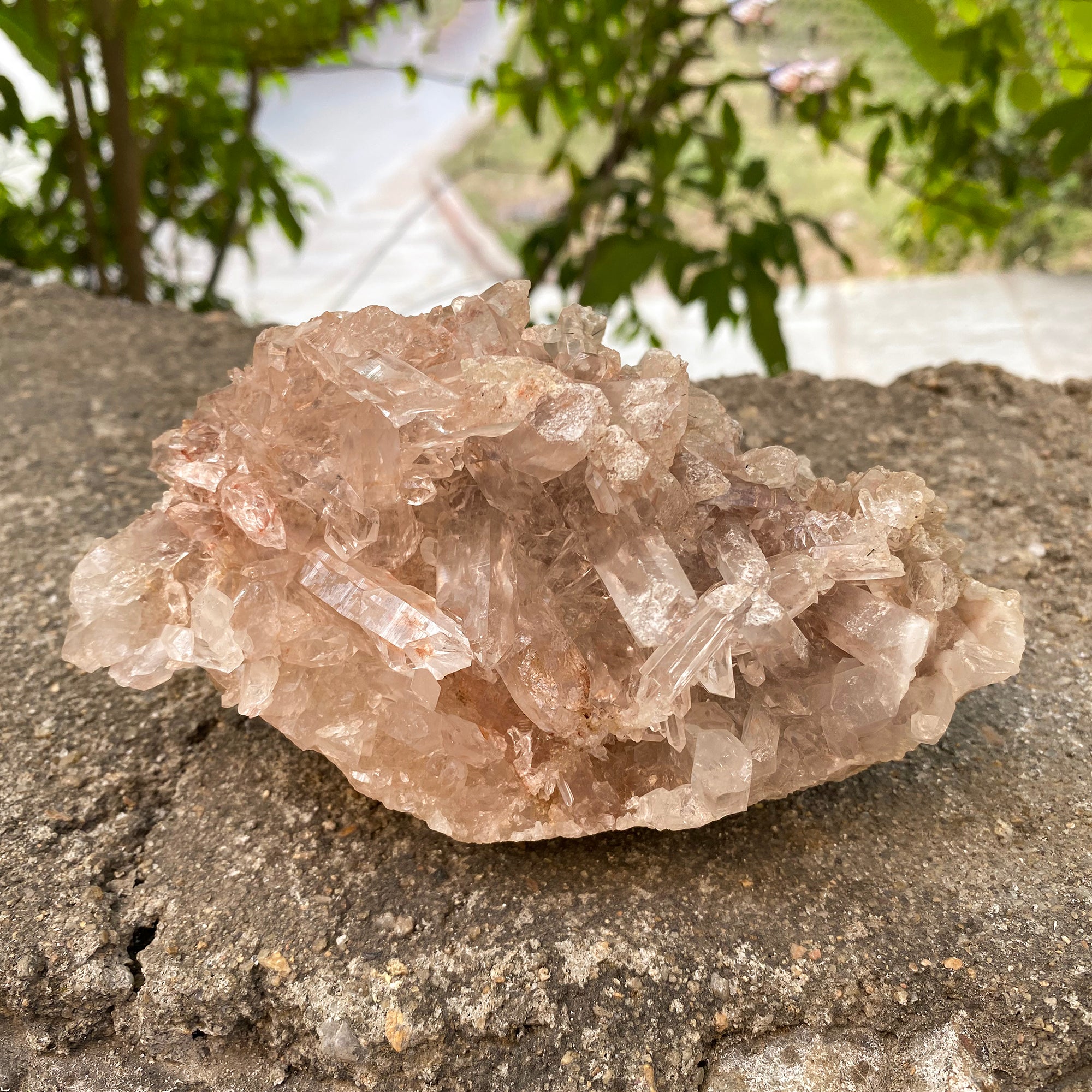 Natural Himalayan Pink Quartz Cluster 875g Healing Crystal