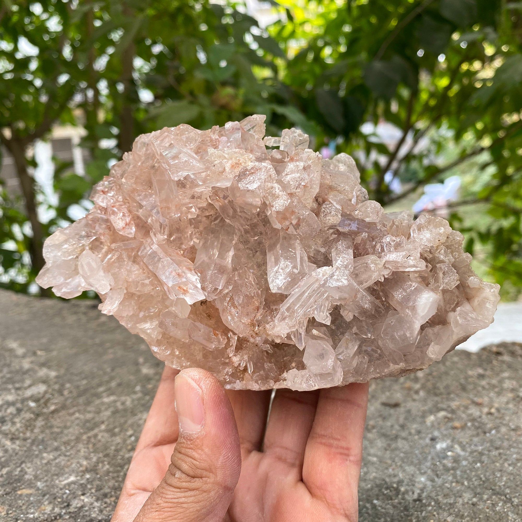 Natural Himalayan Pink Quartz Cluster 875g Healing Crystal