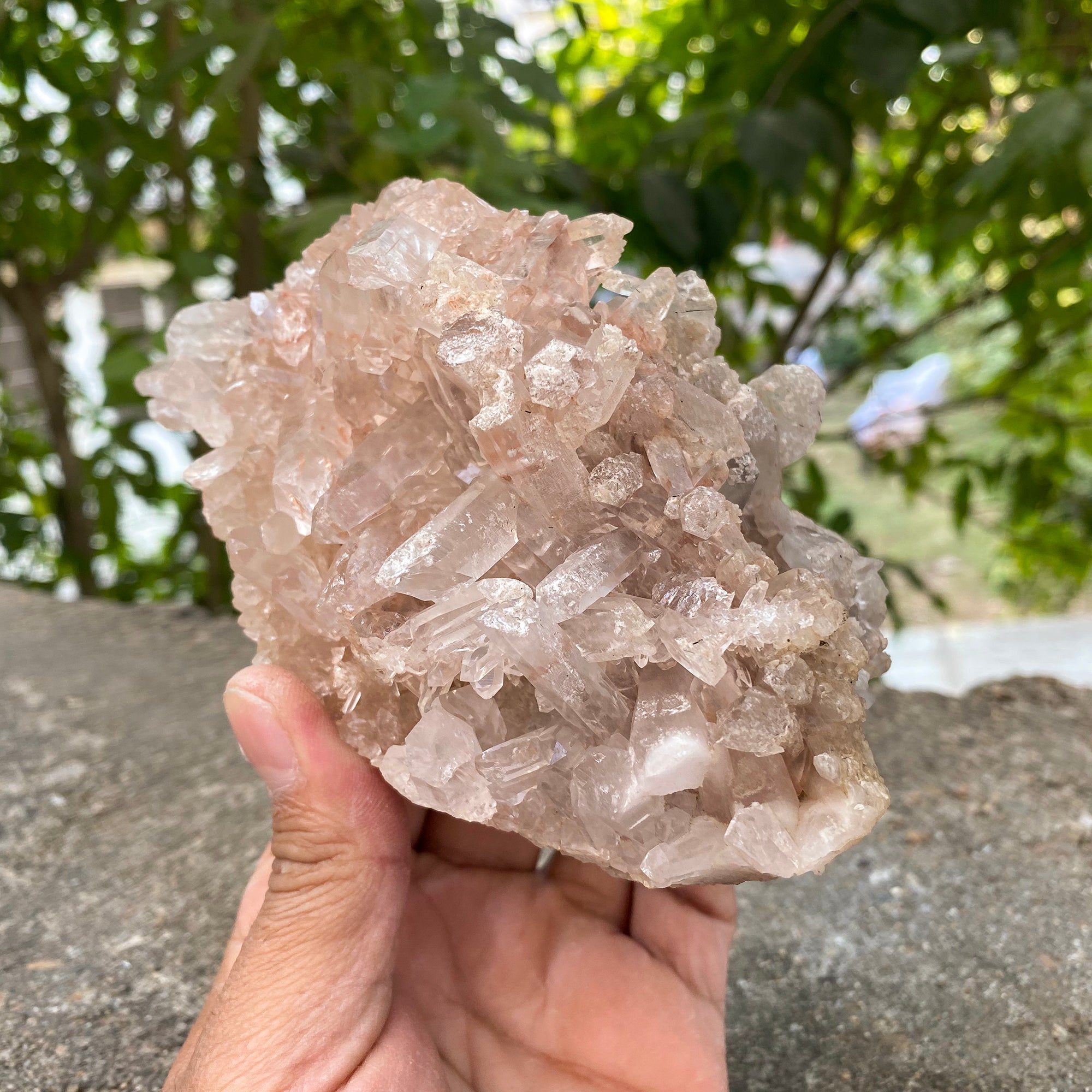 Natural Himalayan Pink Quartz Cluster 875g Healing Crystal