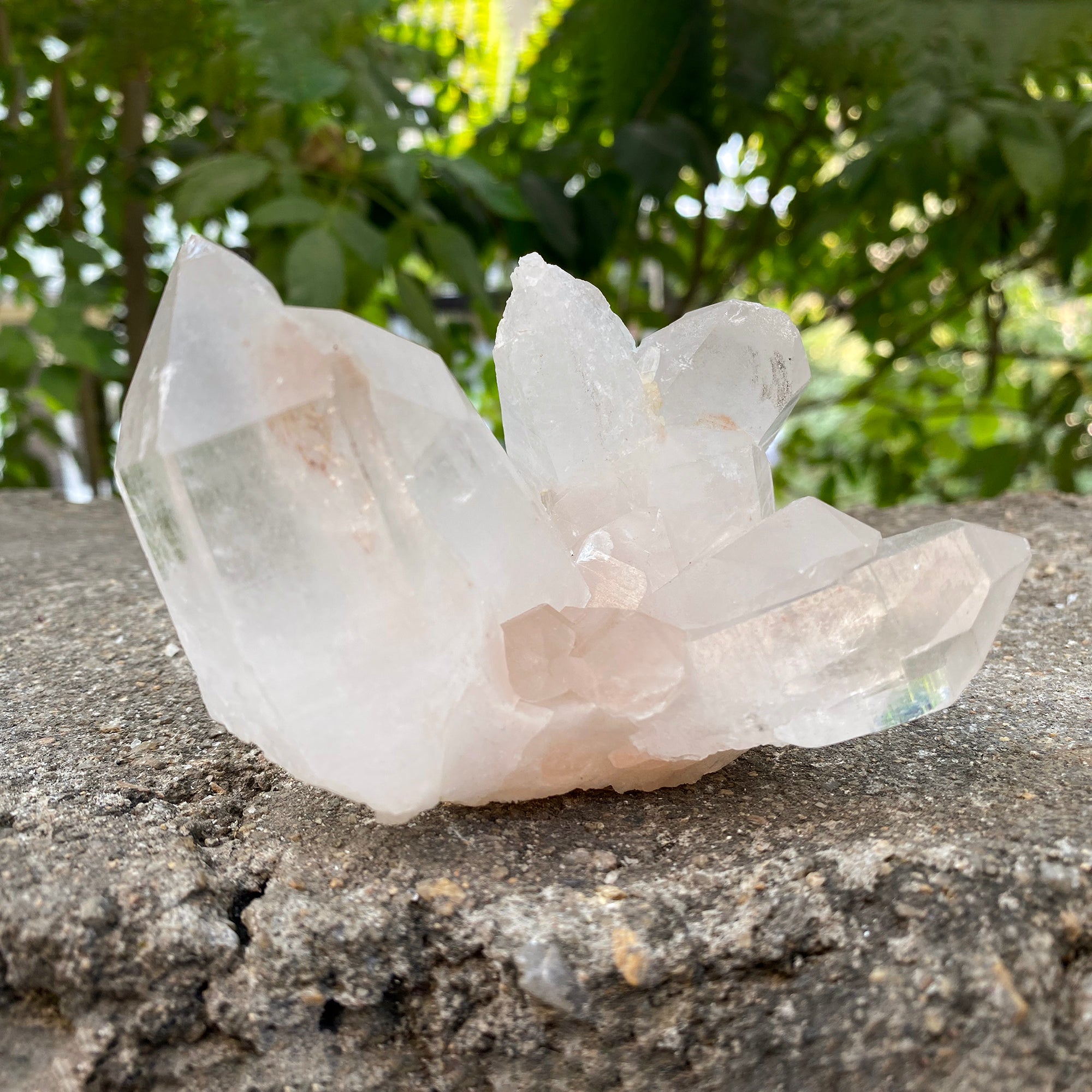 Natural Himalayan Pink Quartz Cluster 480g Healing Crystal