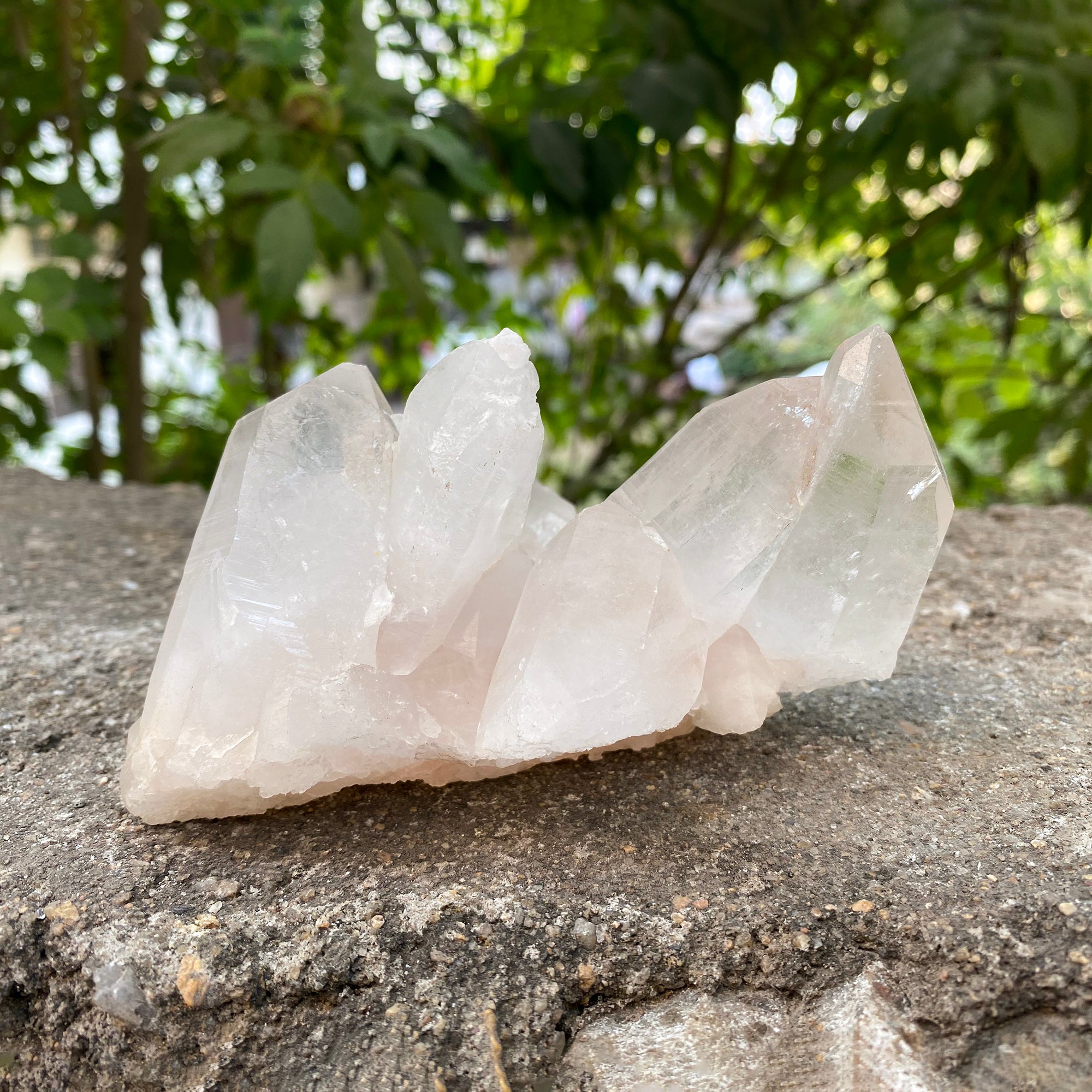 Natural Himalayan Pink Quartz Cluster 480g Healing Crystal