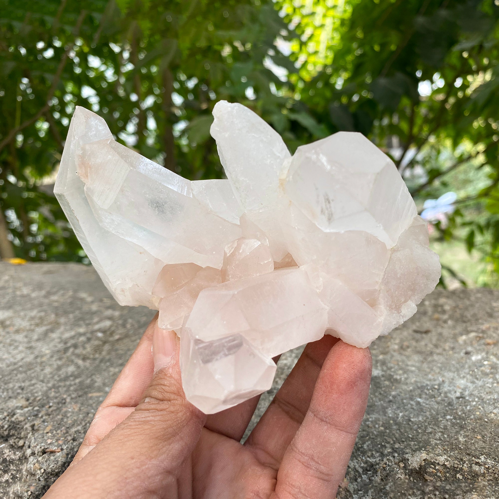 Natural Himalayan Pink Quartz Cluster 480g Healing Crystal