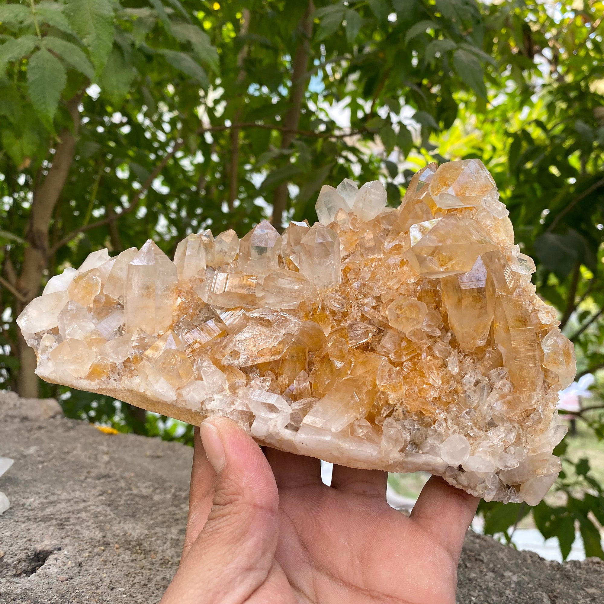 Natural Himalayan Yellow Quartz Cluster 1250g Healing Crystal
