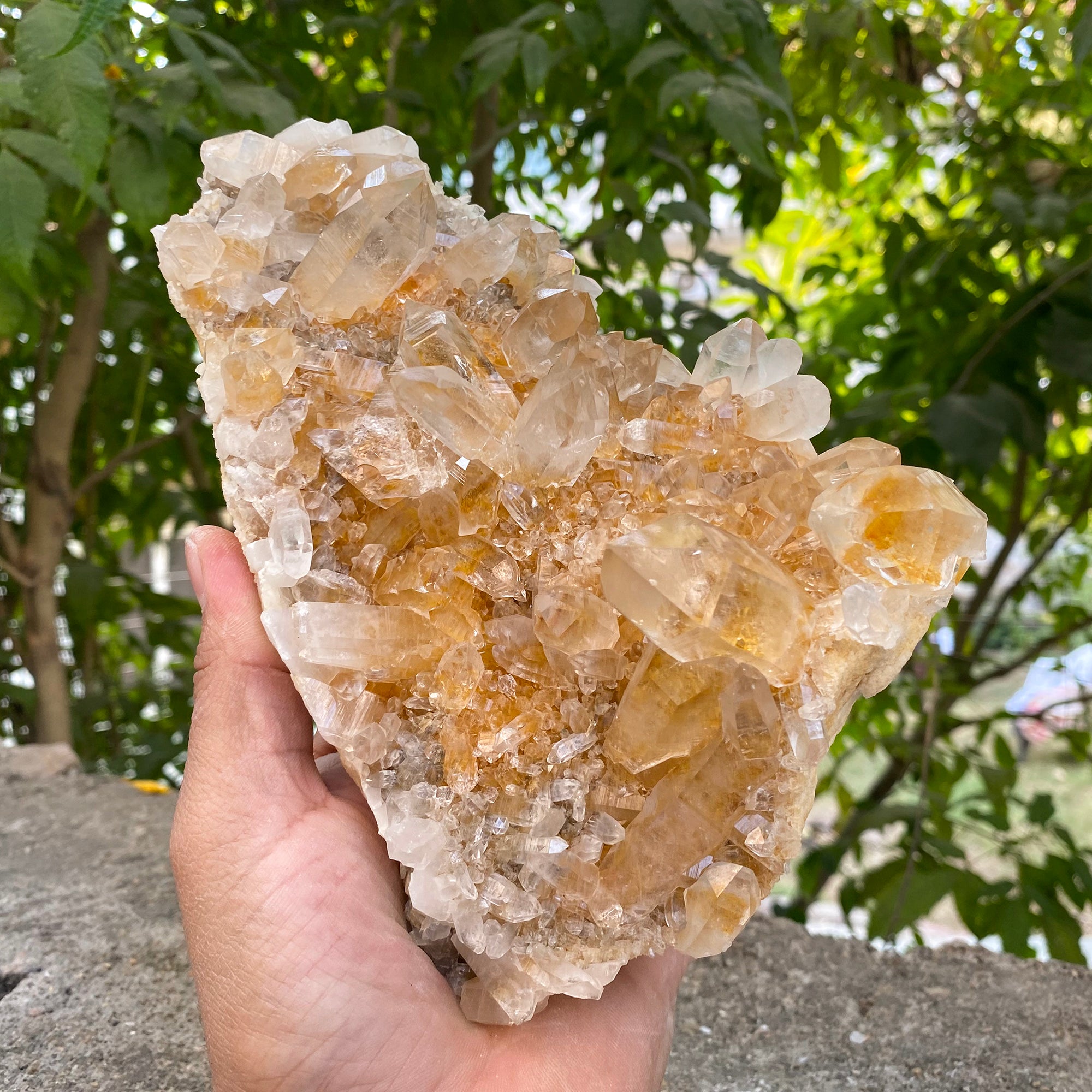 Natural Himalayan Yellow Quartz Cluster 1250g Healing Crystal